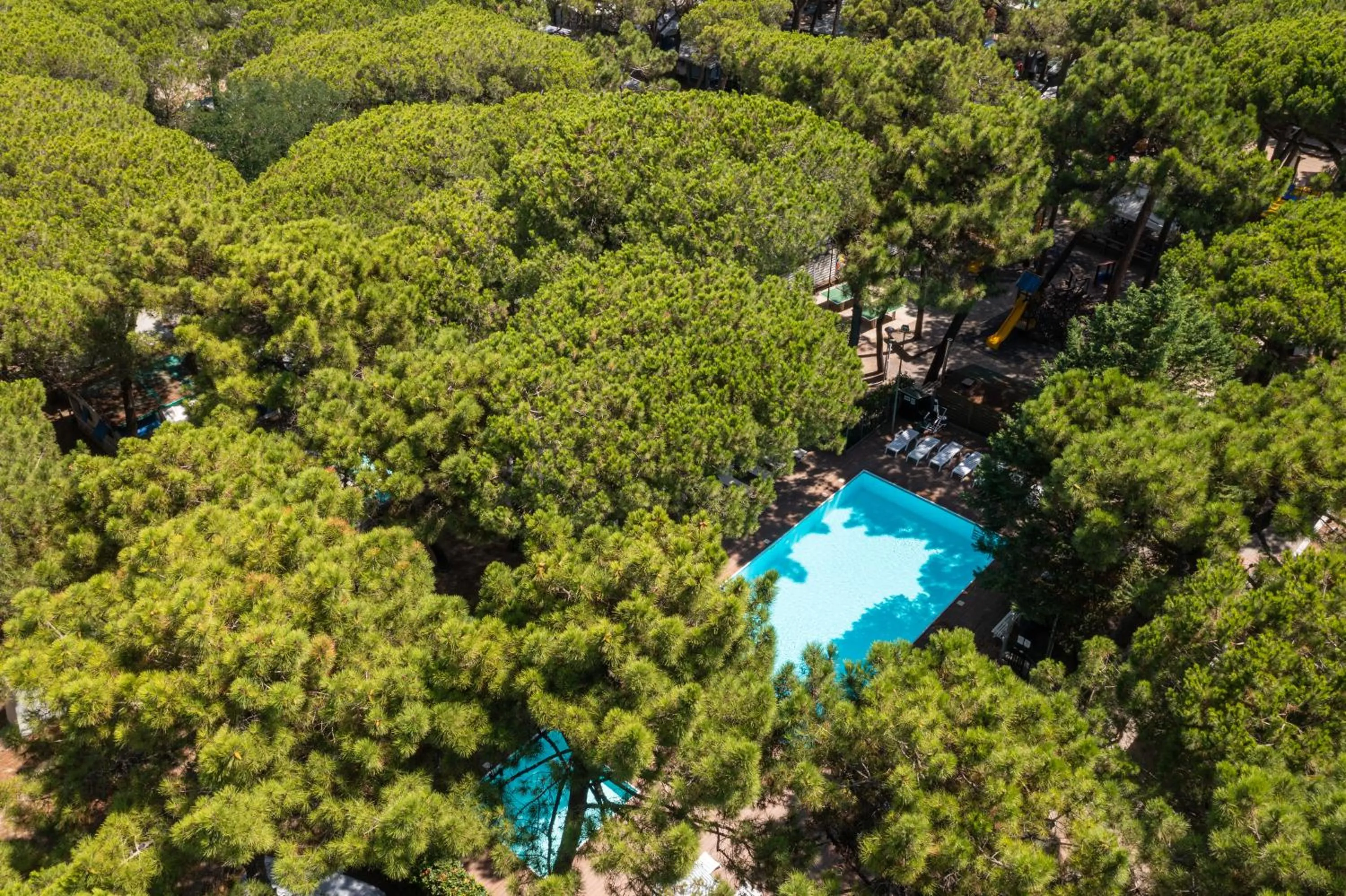 Swimming pool in Club del Sole Marina Romea Easy Camping Village