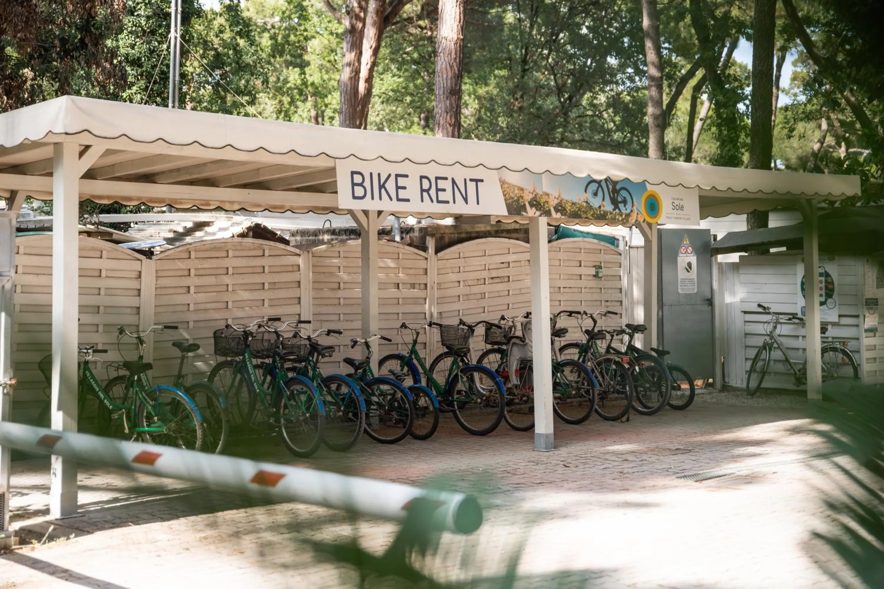 Hiking in Club del Sole Marina Romea Easy Camping Village