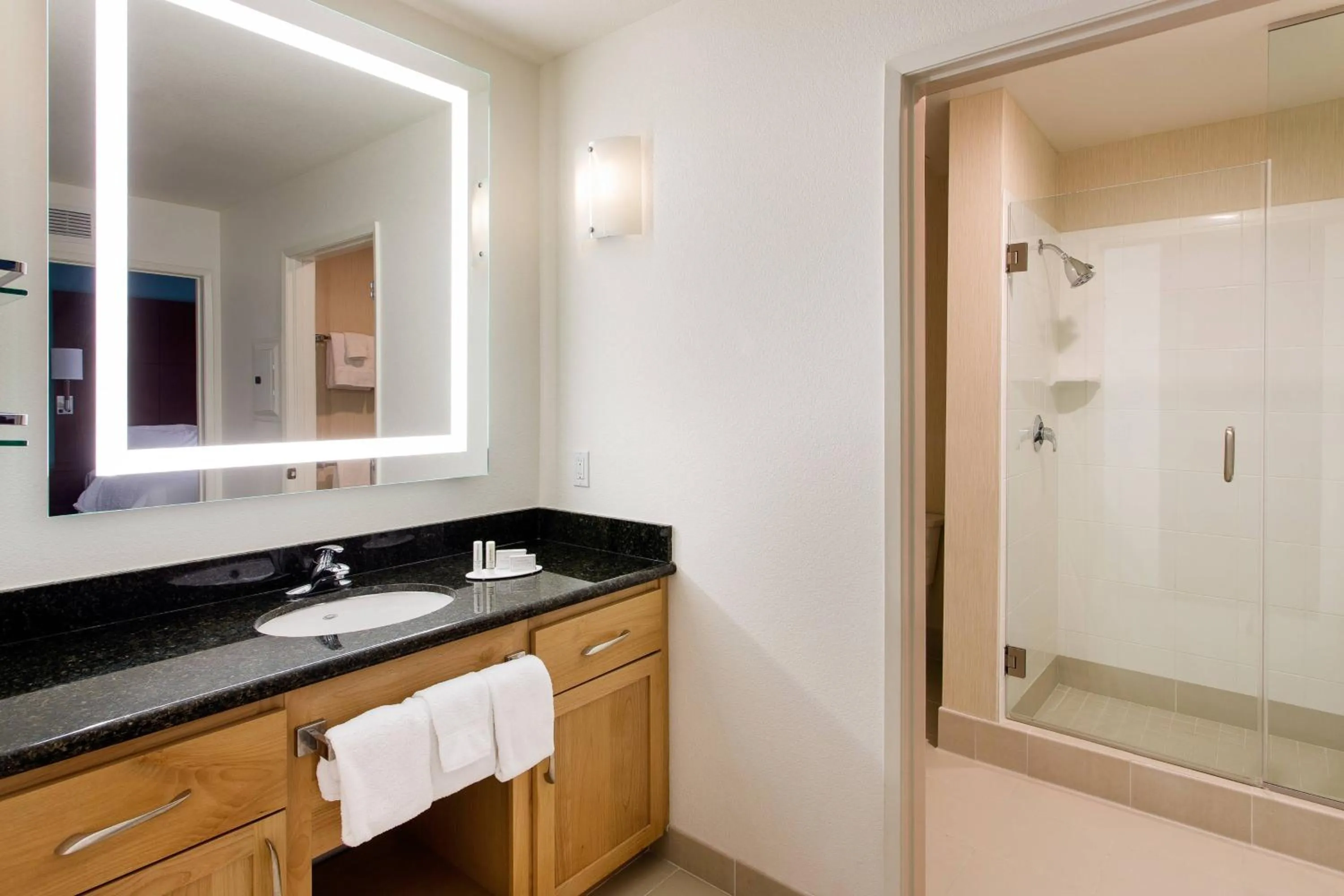 Bathroom in Residence Inn San Diego Del Mar