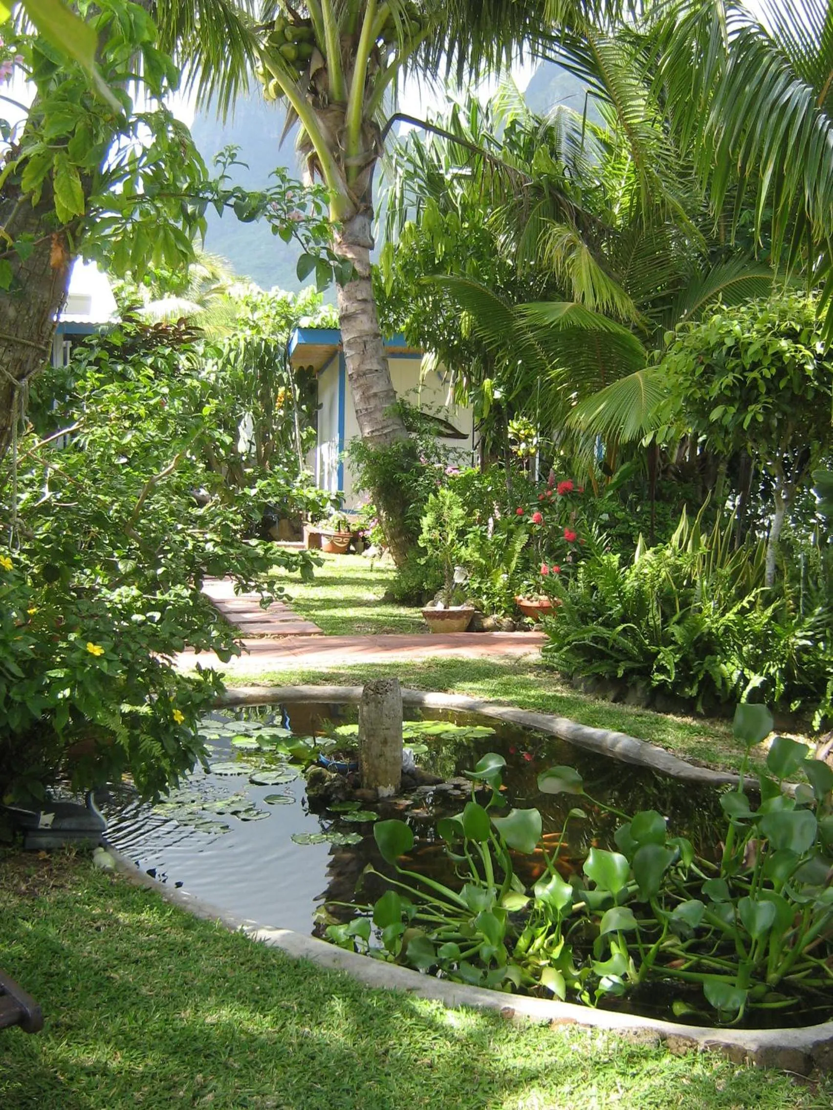 Garden in Bora Bora Bungalove