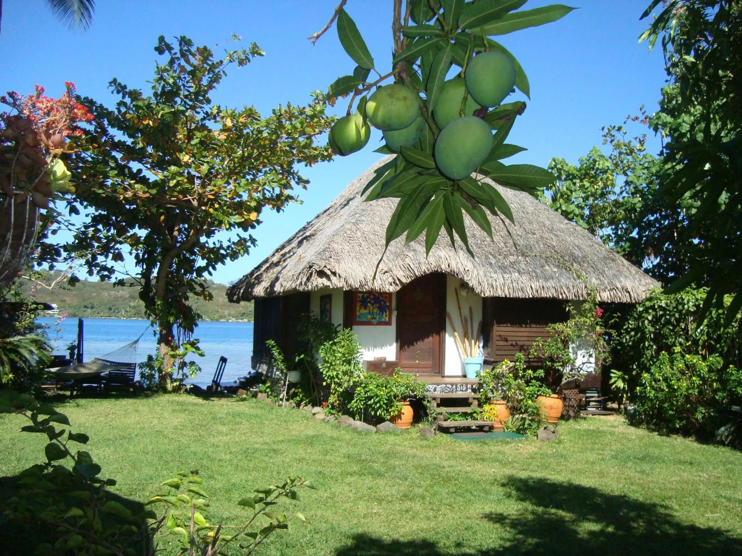 Property building in Bora Bora Bungalove
