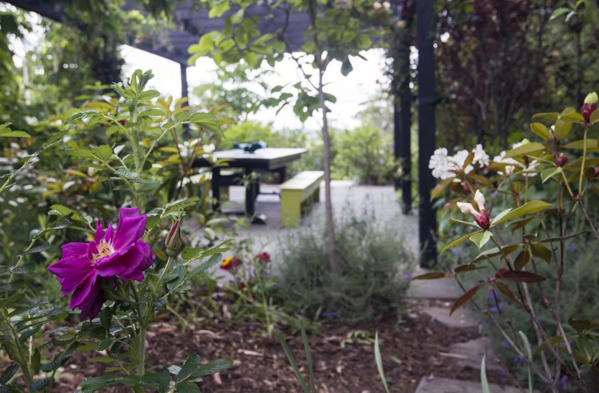 Day in Treghan Luxury Lodge