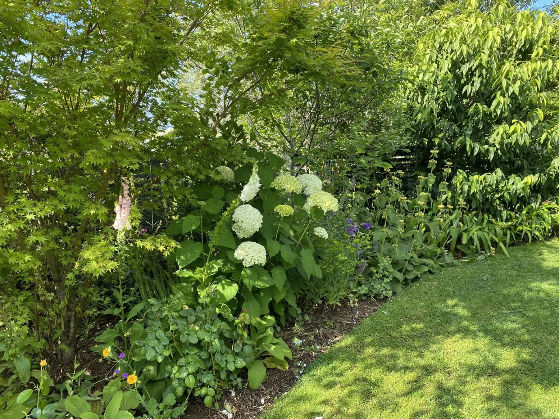 Garden in Treghan Luxury Lodge