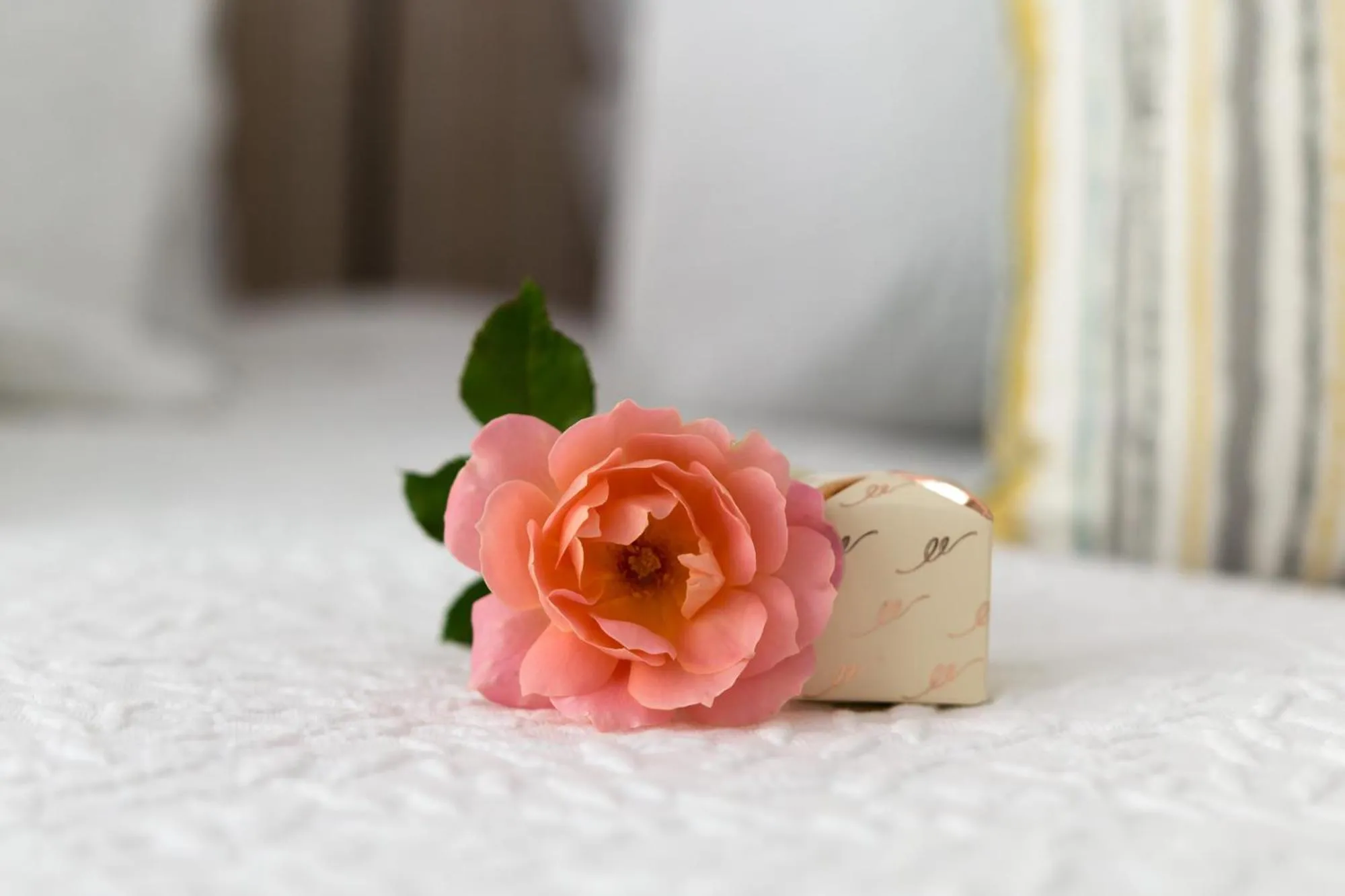 Decorative detail in Treghan Luxury Lodge