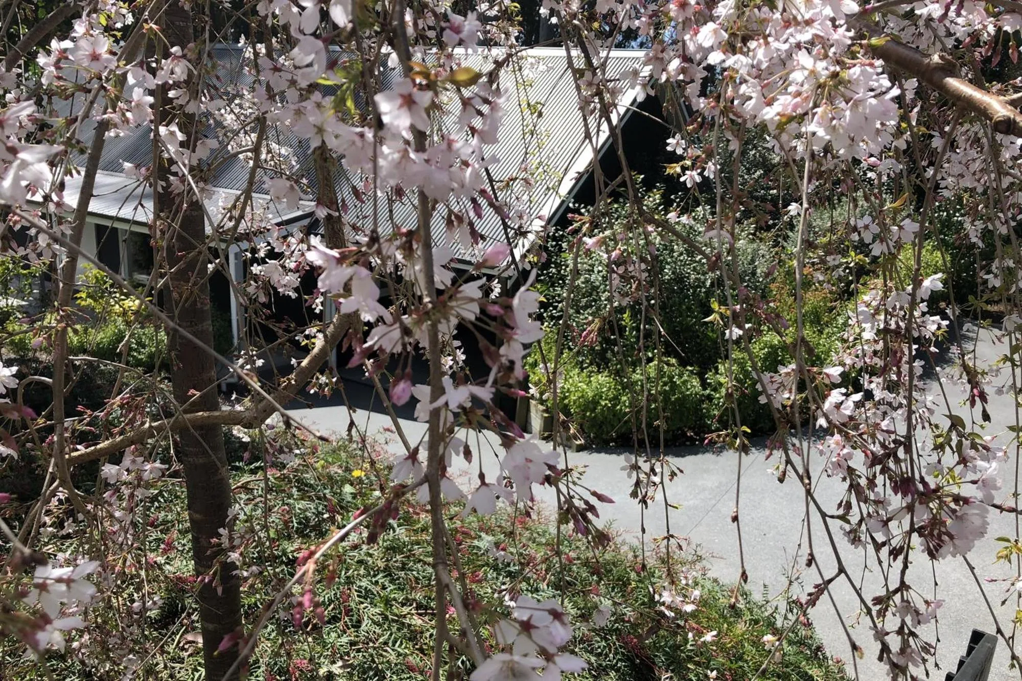 Facade/entrance in Treghan Luxury Lodge