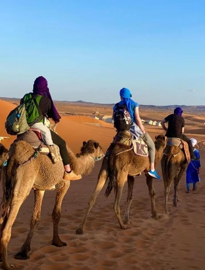 Sahara Nomad Camp