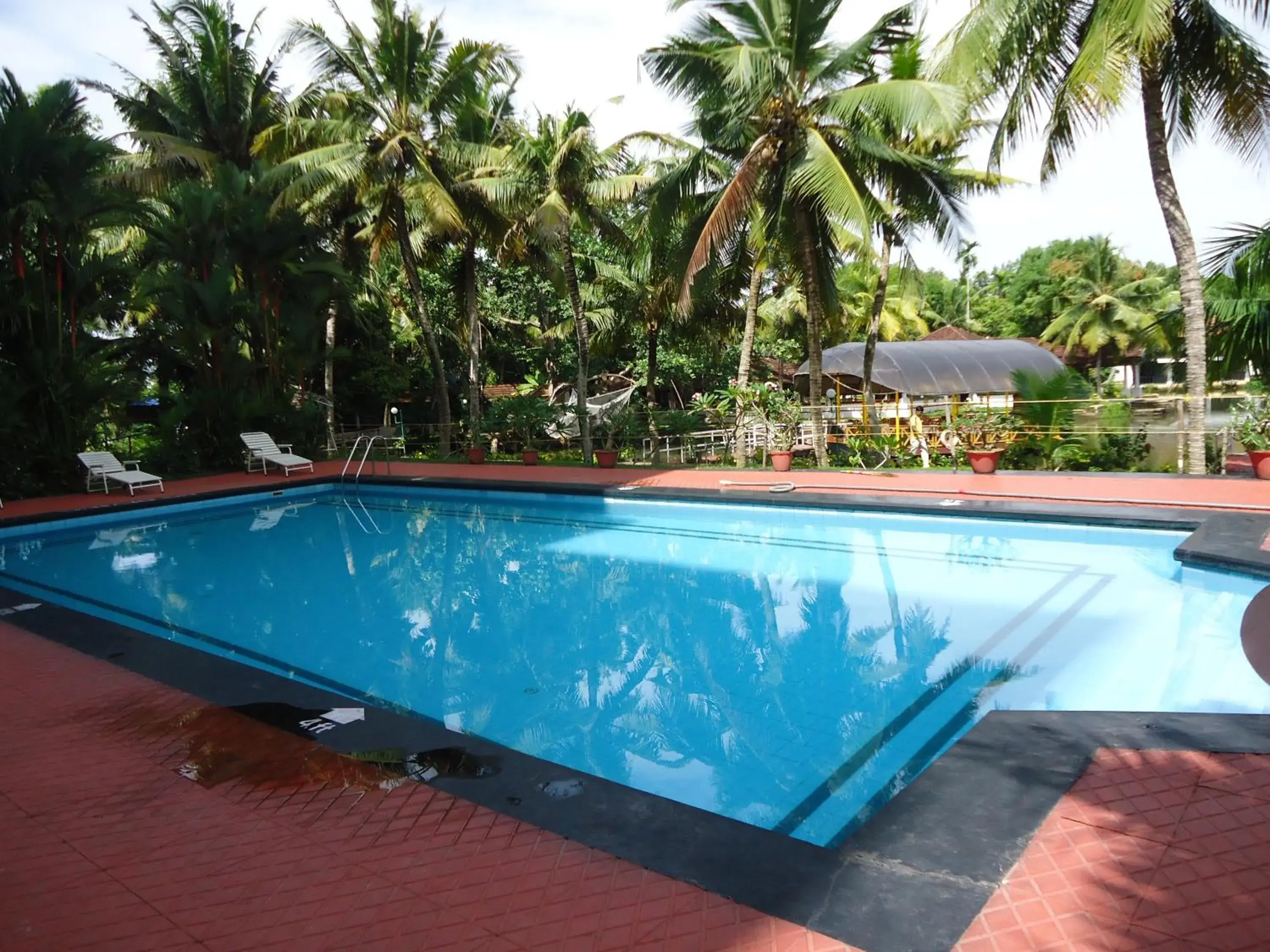 Swimming pool in The Windsor Castle Swimming pool in The Windsor Castle