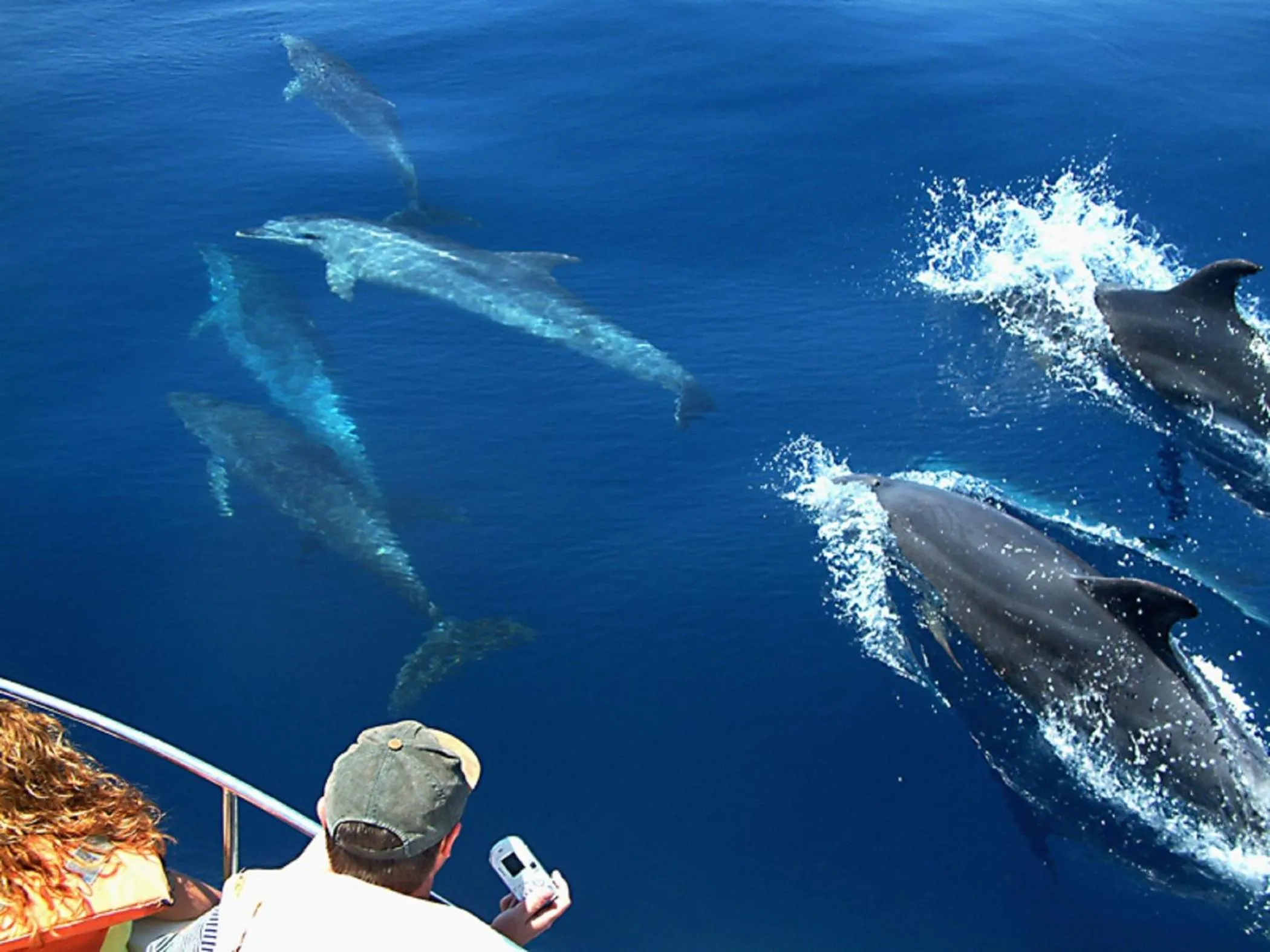 Off site in Batuta Maldives Surf View