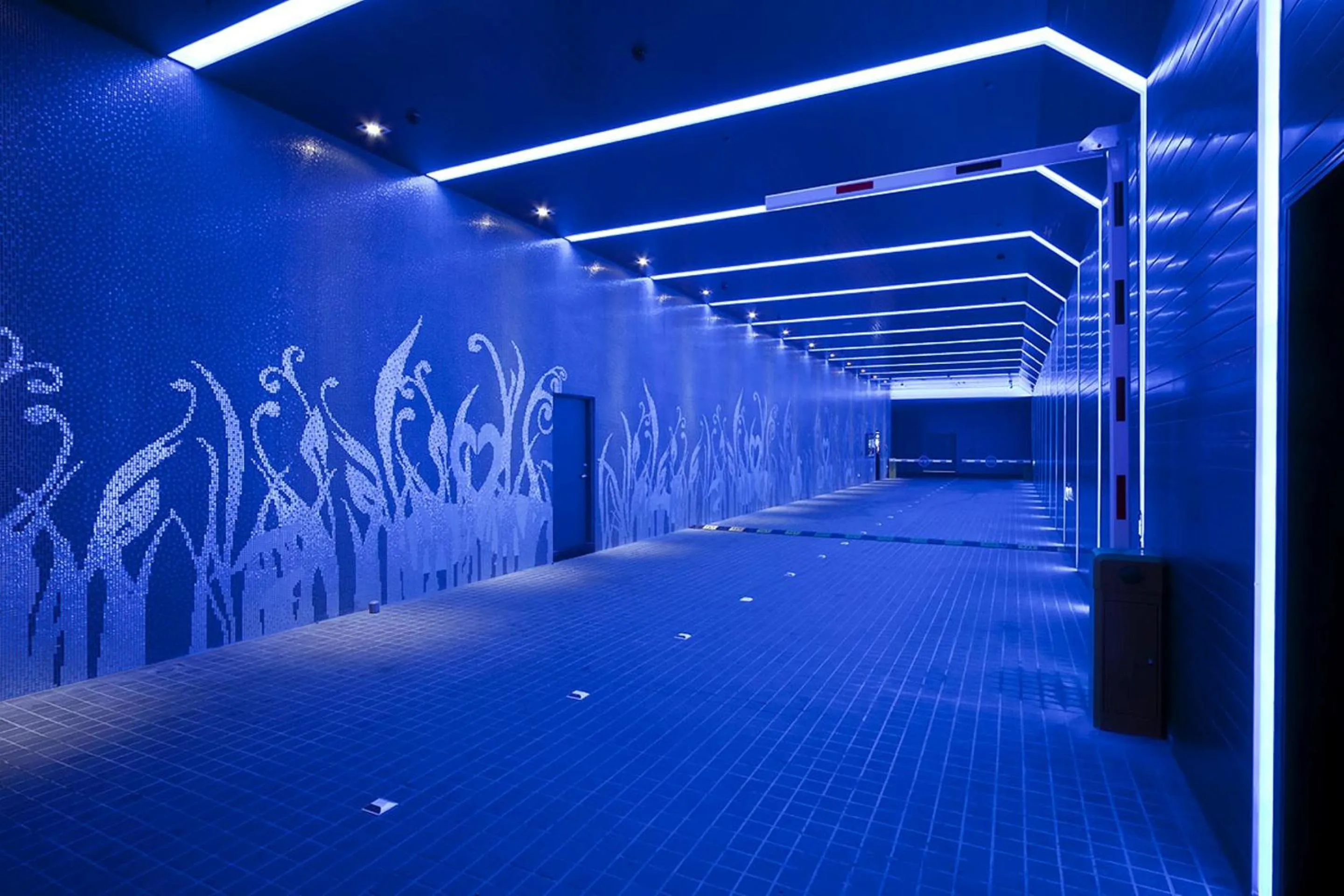 Other in Wego Funtel - Dazhi Branch