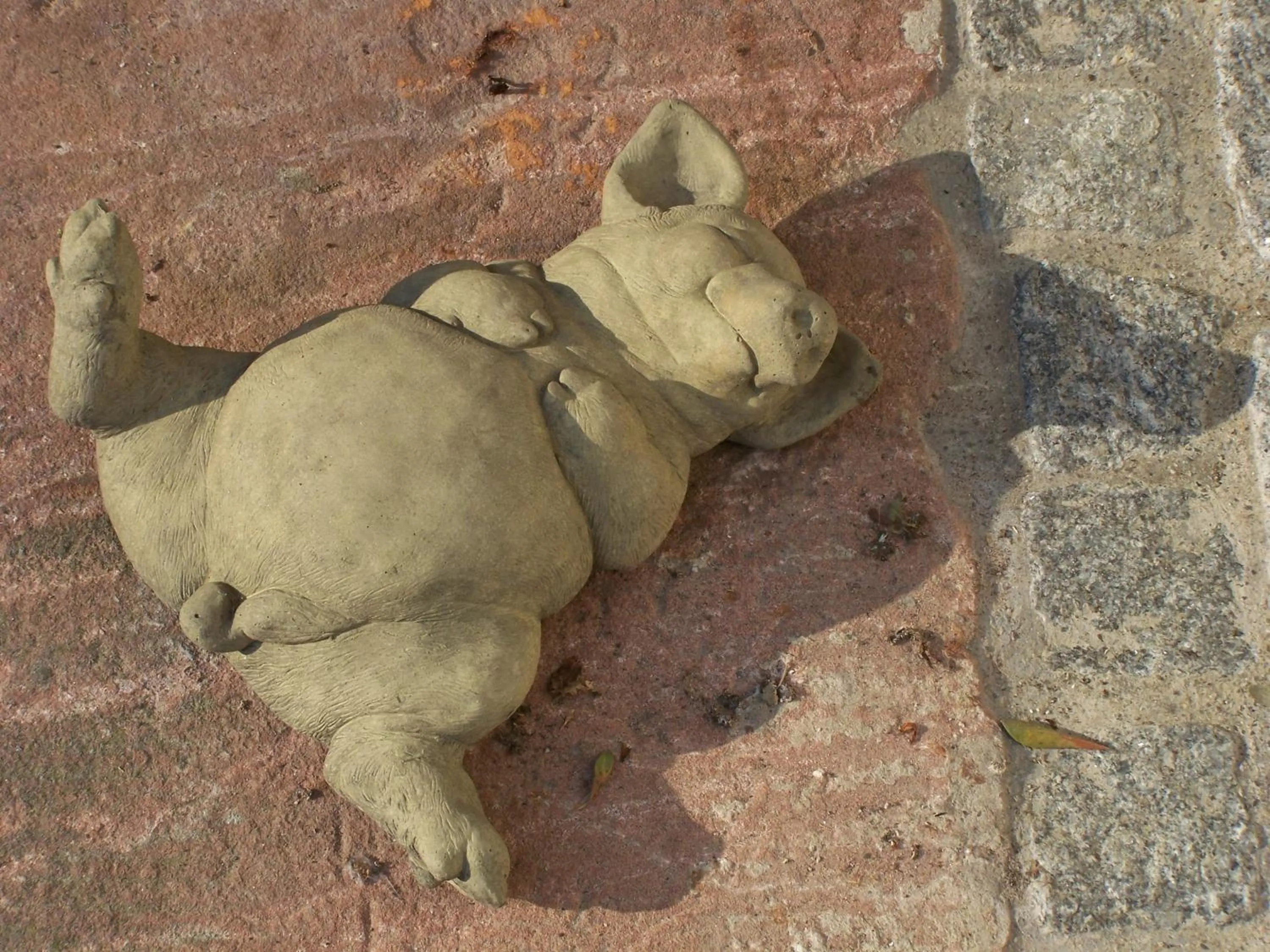 Animals in Badische Landoase