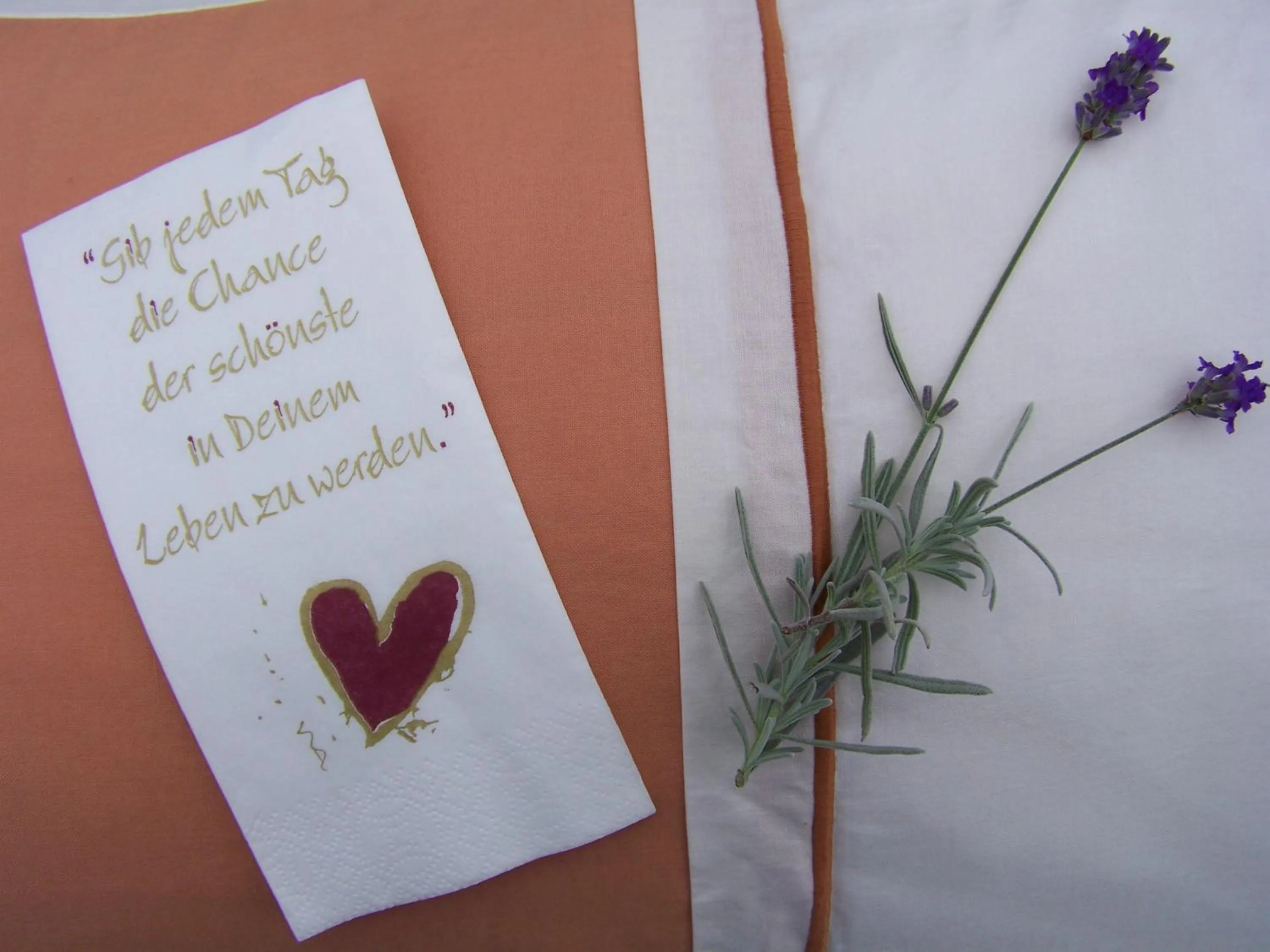 Property logo or sign in Badische Landoase