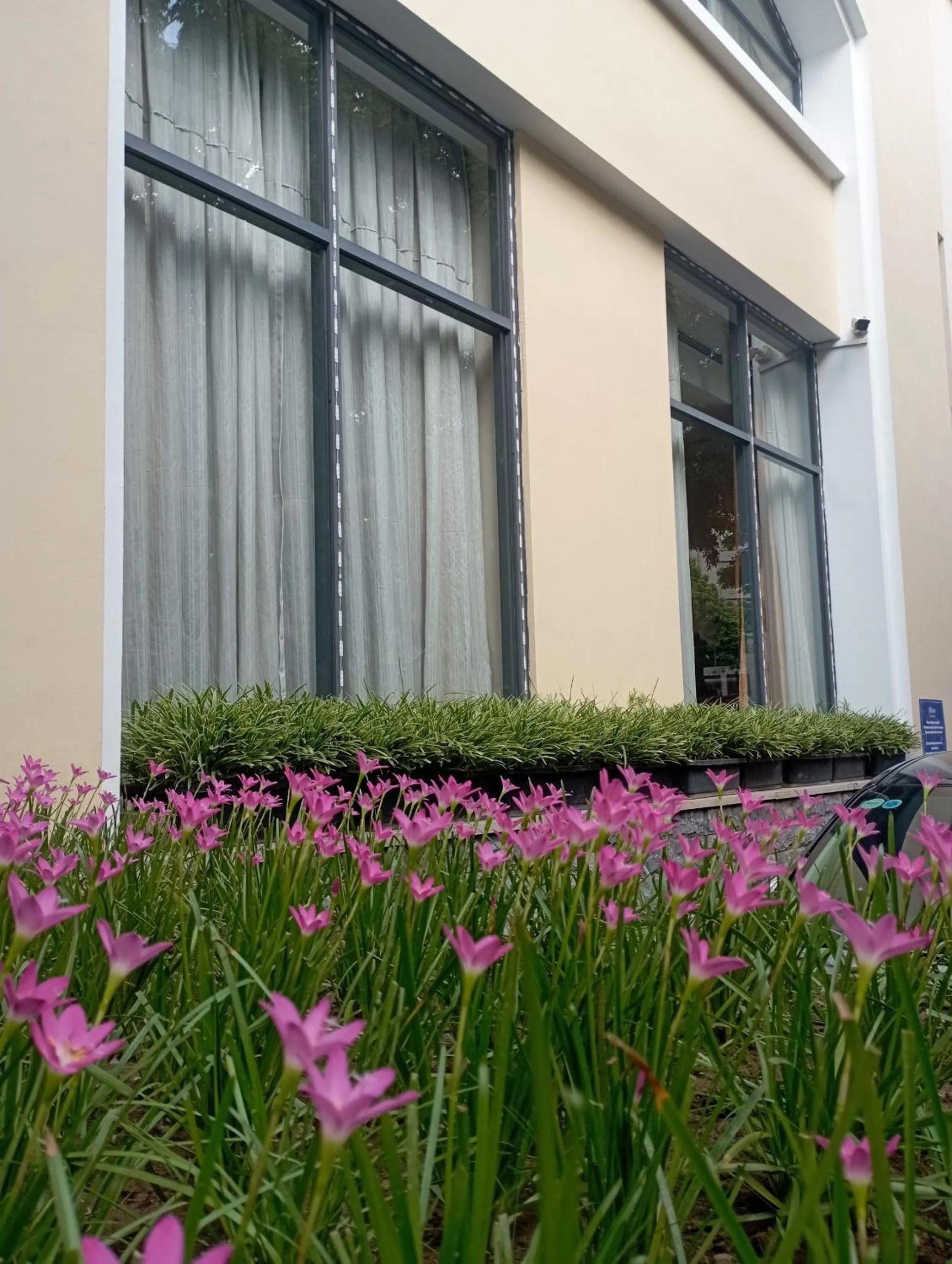 Garden in Hilton Garden Inn Hanoi