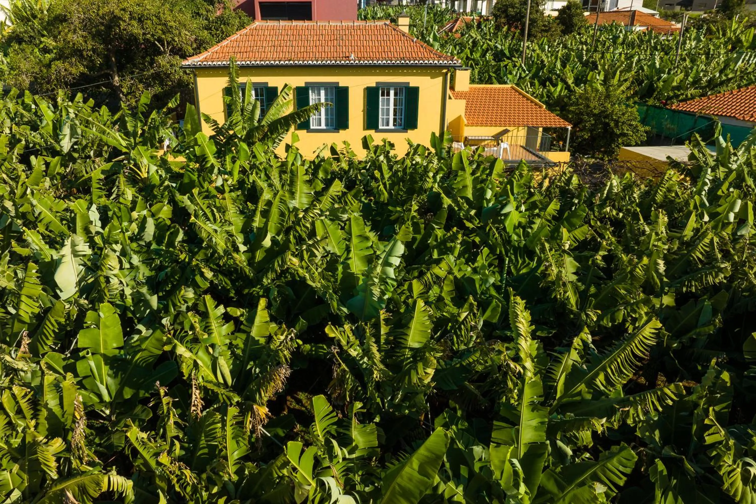Property building in Casa D`Avó Celina
