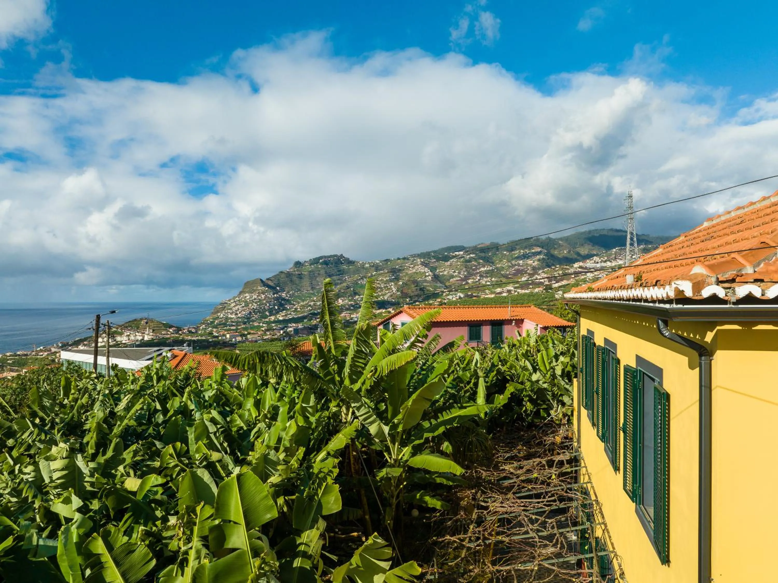 View (from property/room) in Casa D`Avó Celina