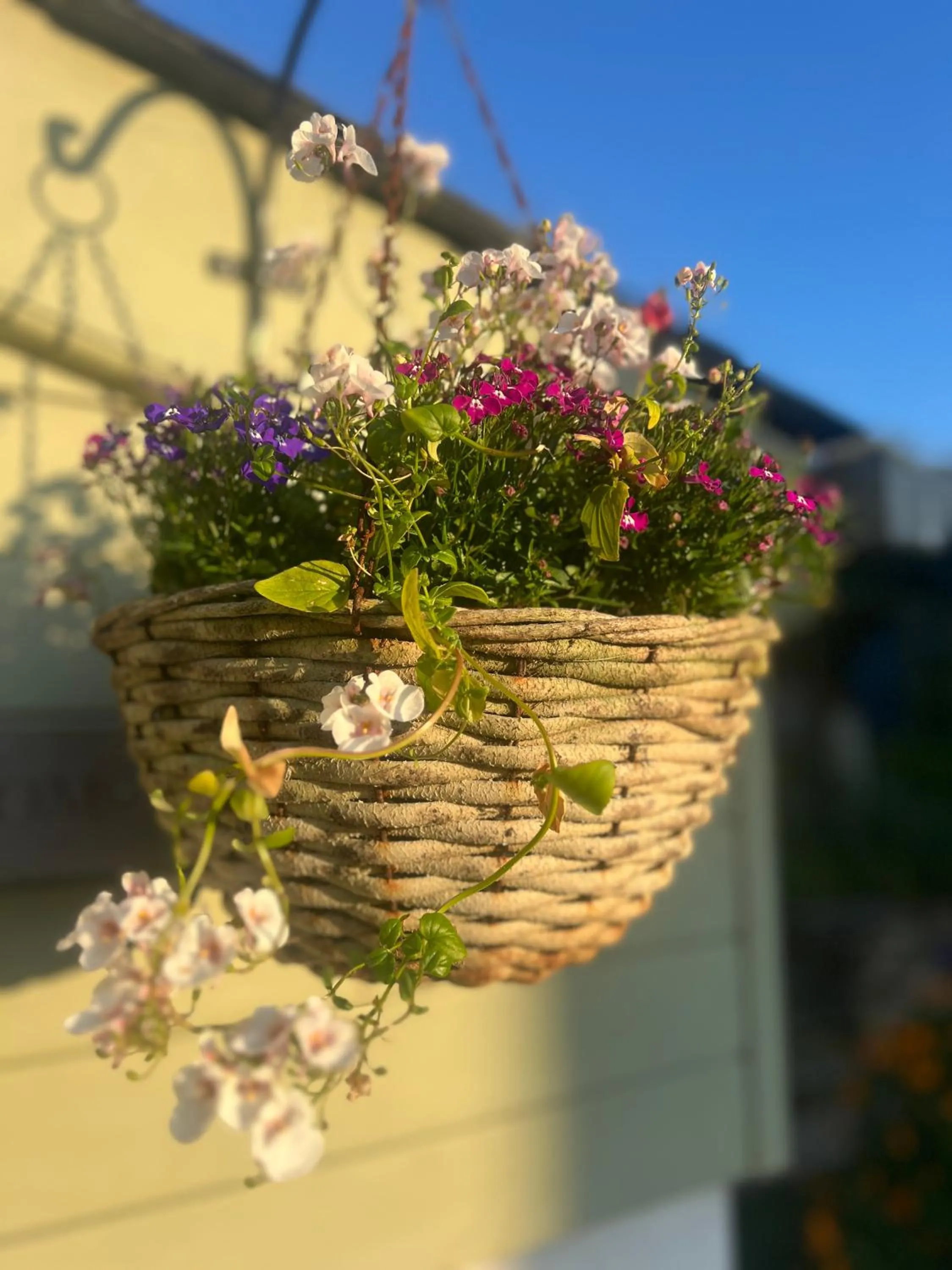 Garden view in Penwyth House