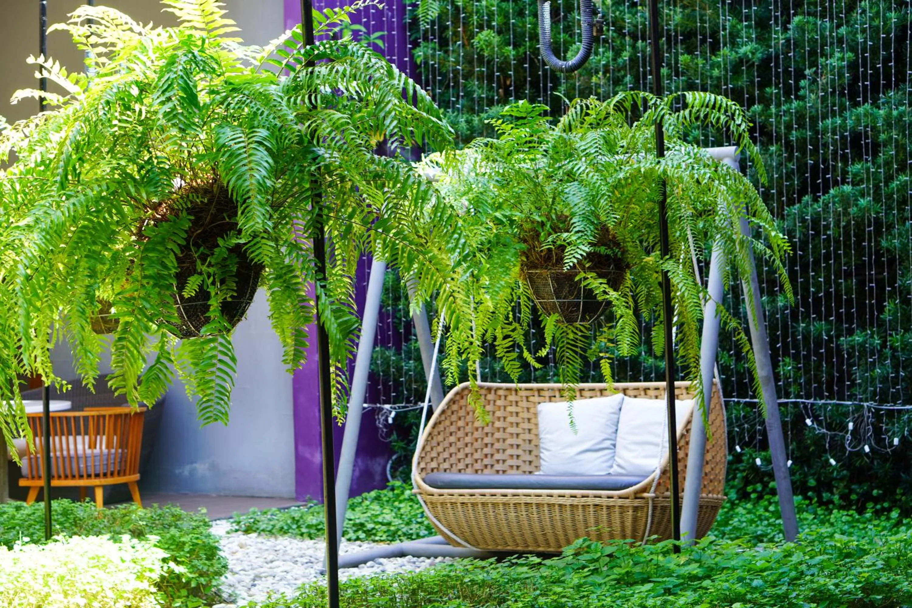 Natural landscape in Holiday Inn Express Phuket Patong Beach Central by IHG