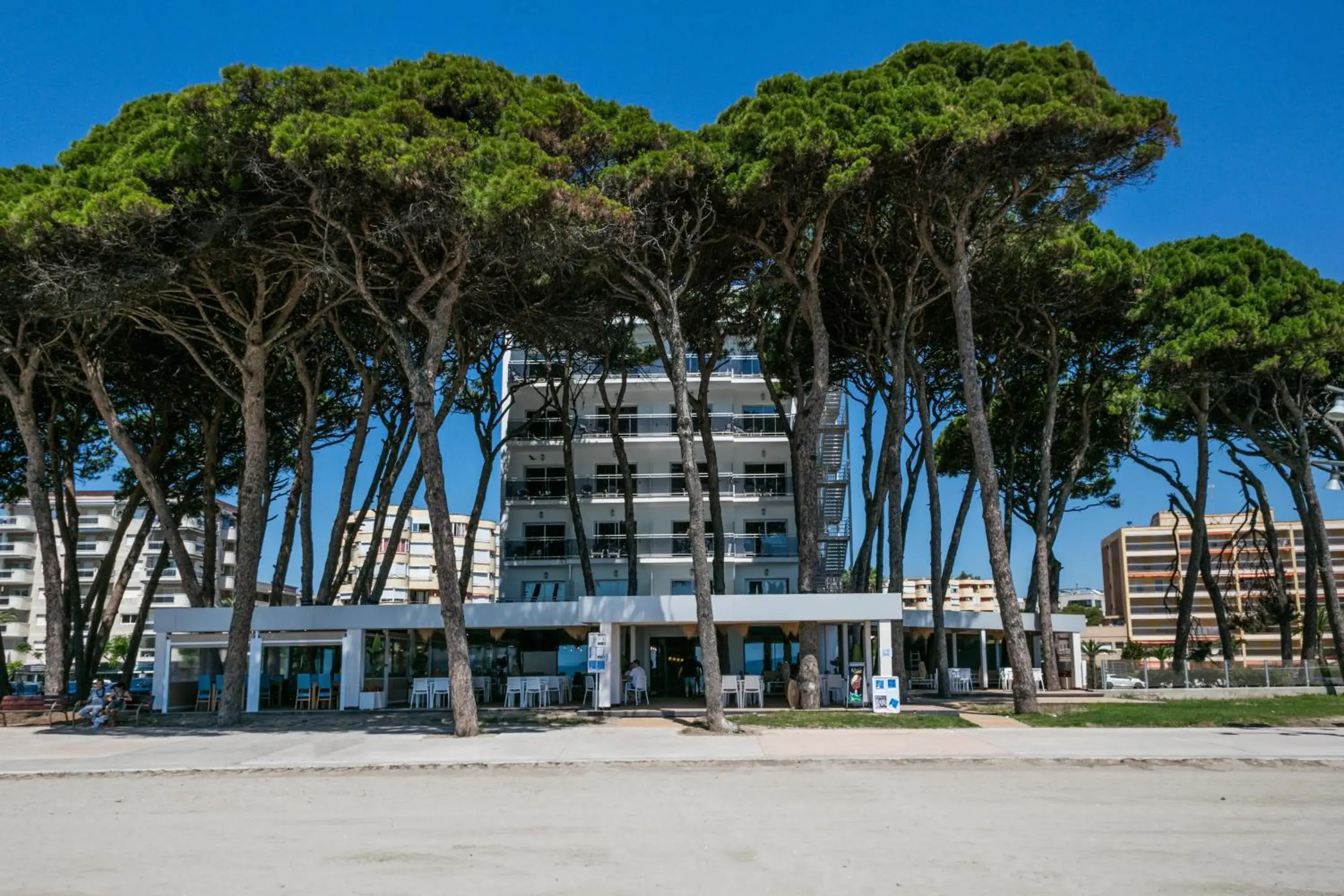 Lounge or bar in Hotel Best Terramarina Lounge or bar in Hotel Best Terramarina