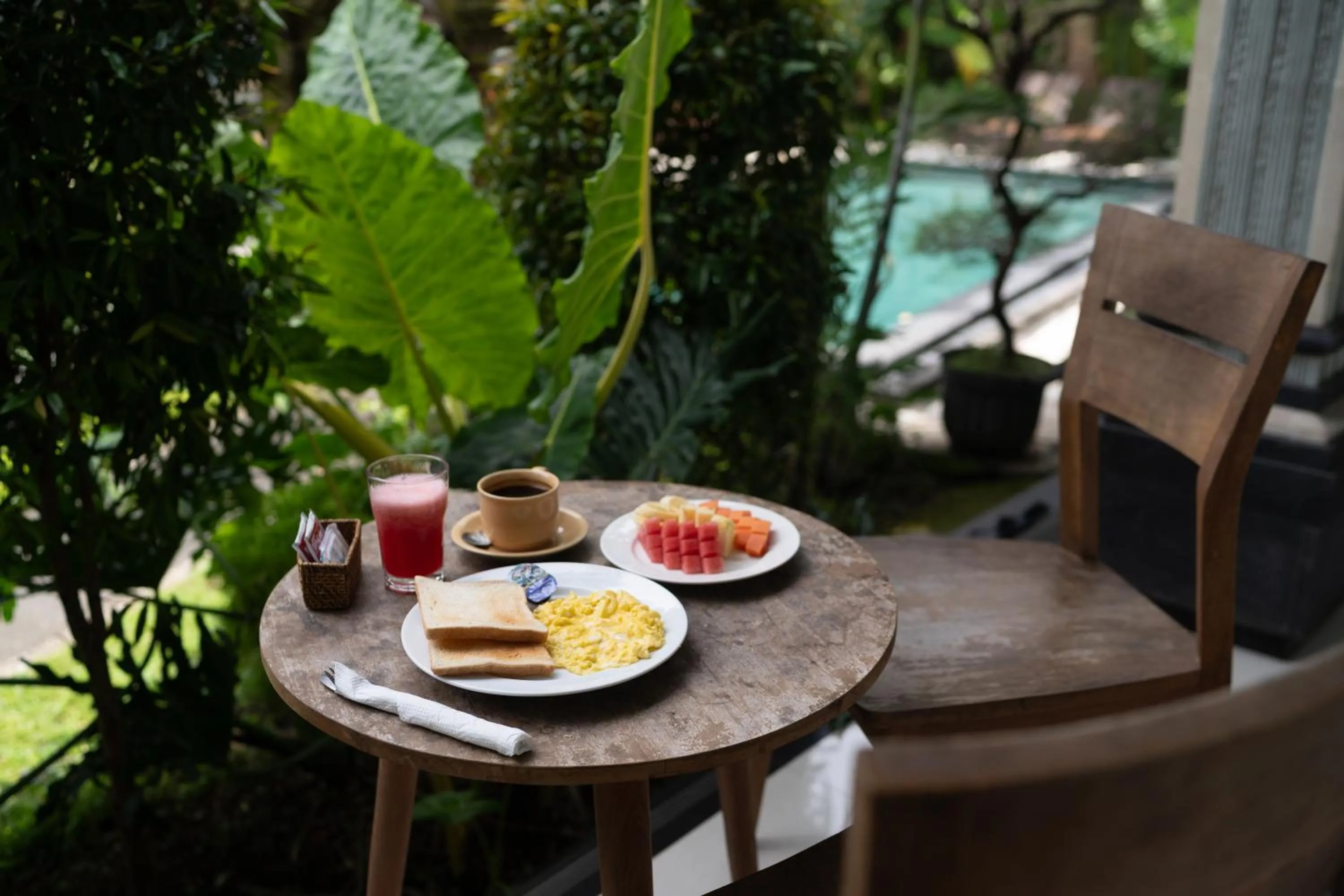 Garden in Astana House