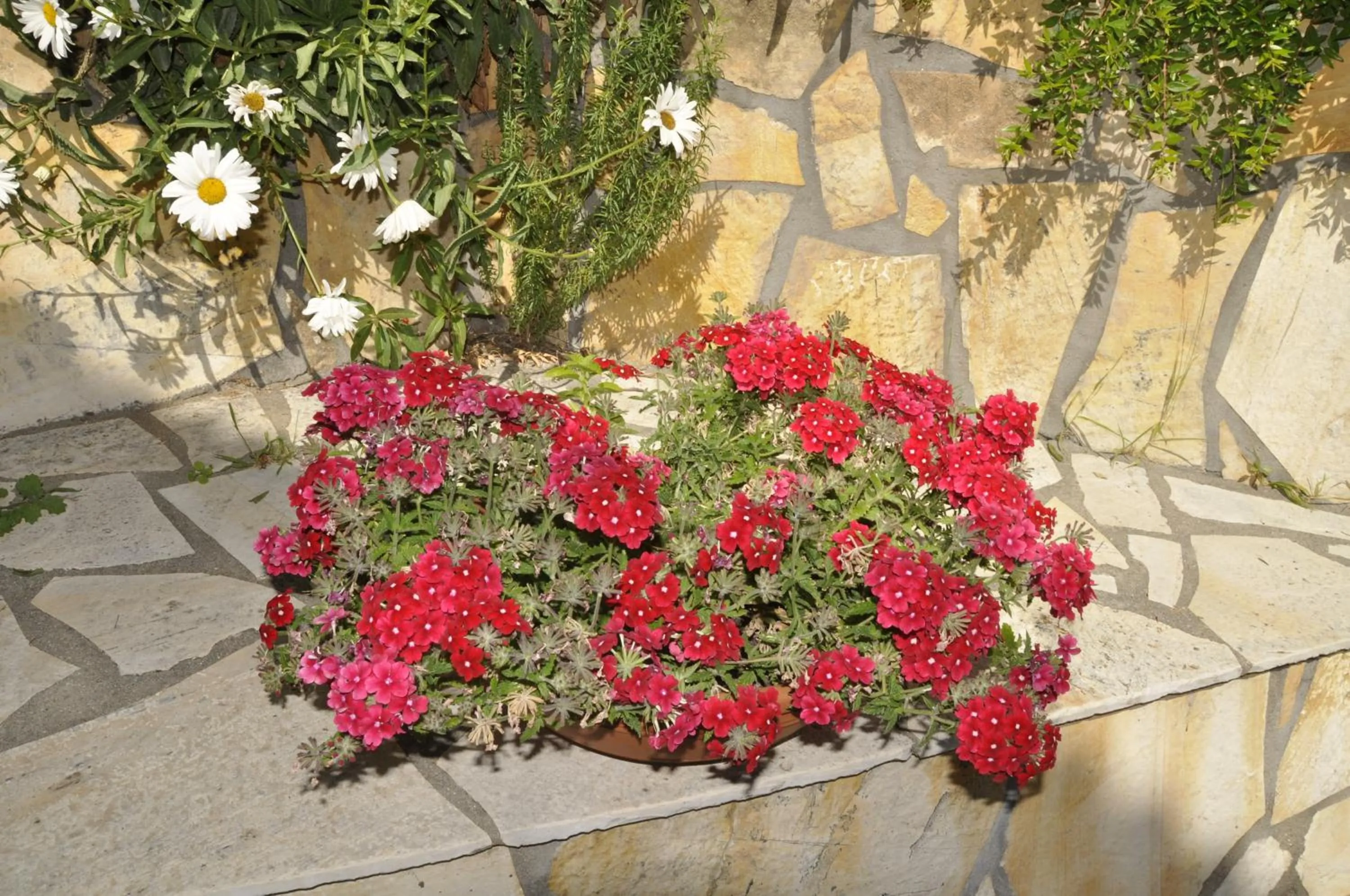 Day in Mazis Apartments