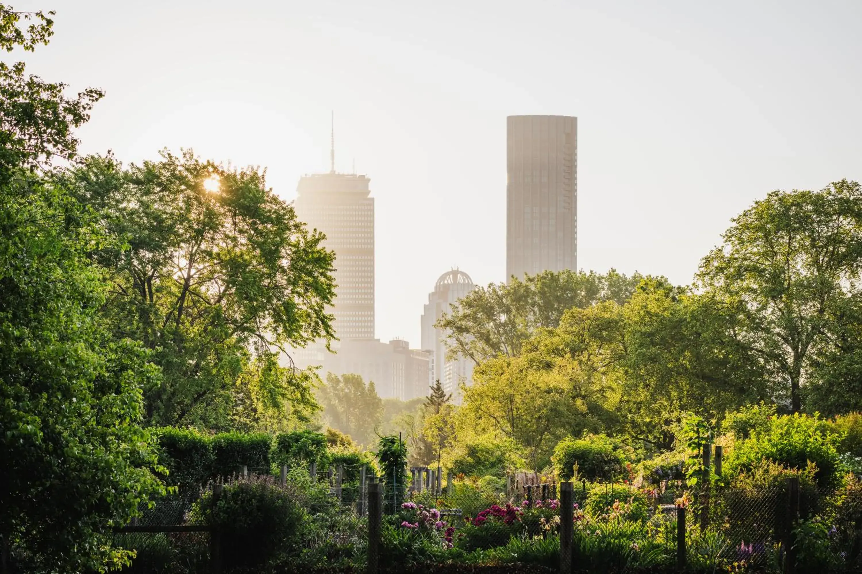Property building in Four Seasons Hotel One Dalton Street, Boston Property building in Four Seasons Hotel One Dalton Street, Boston