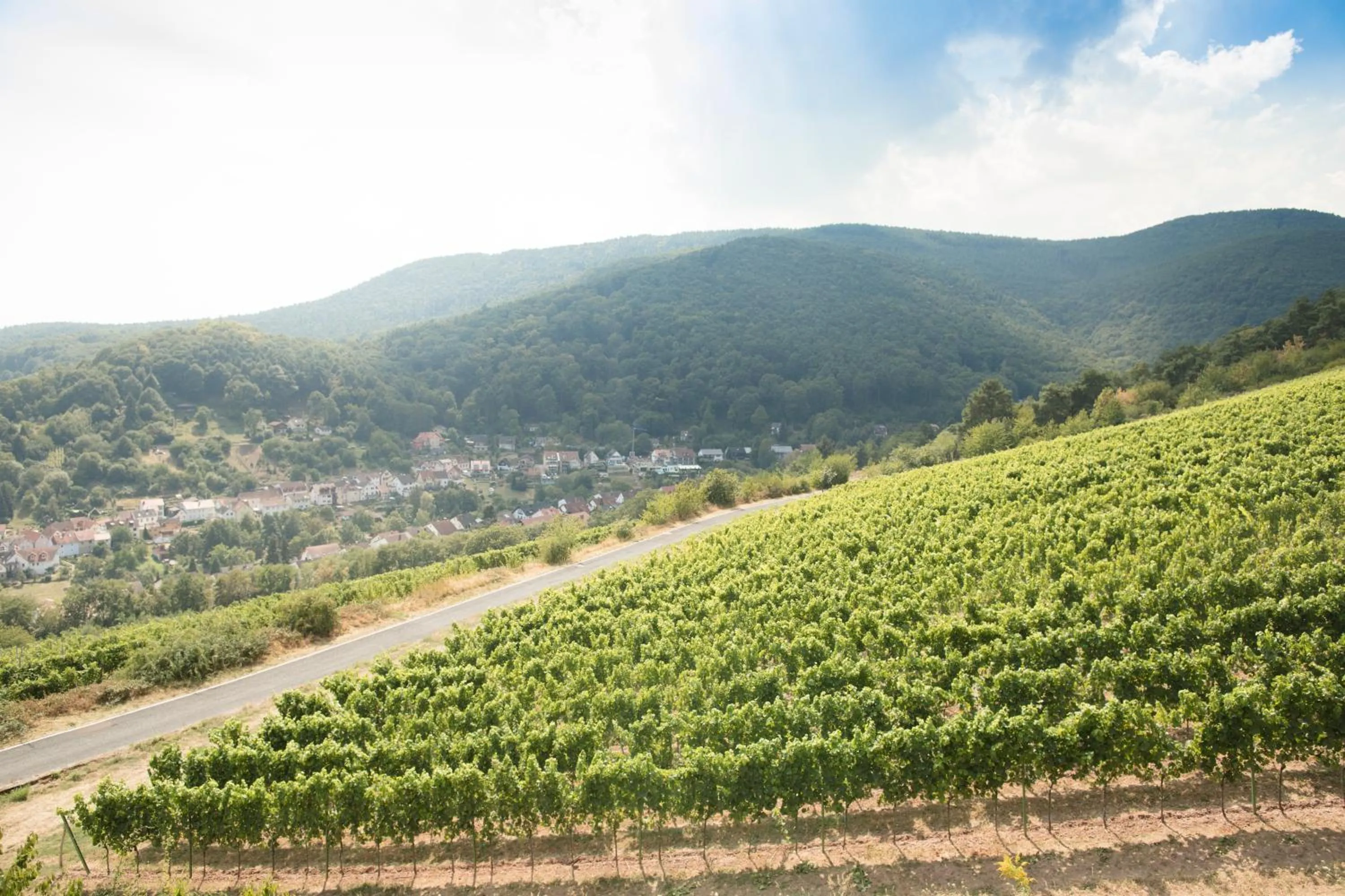 Mountain view in Arens Hotel 327mNN