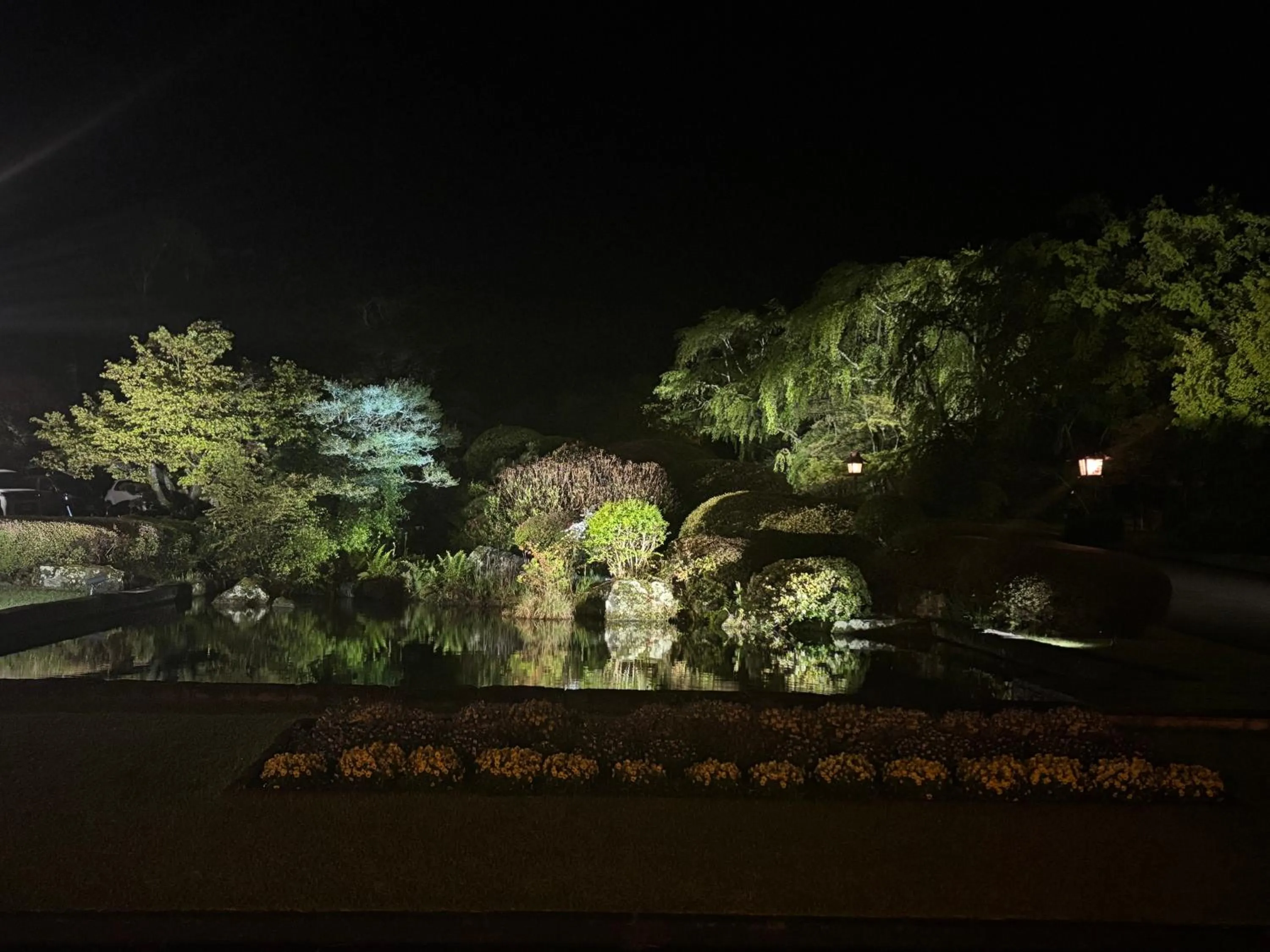 Night in Fuji View Hotel