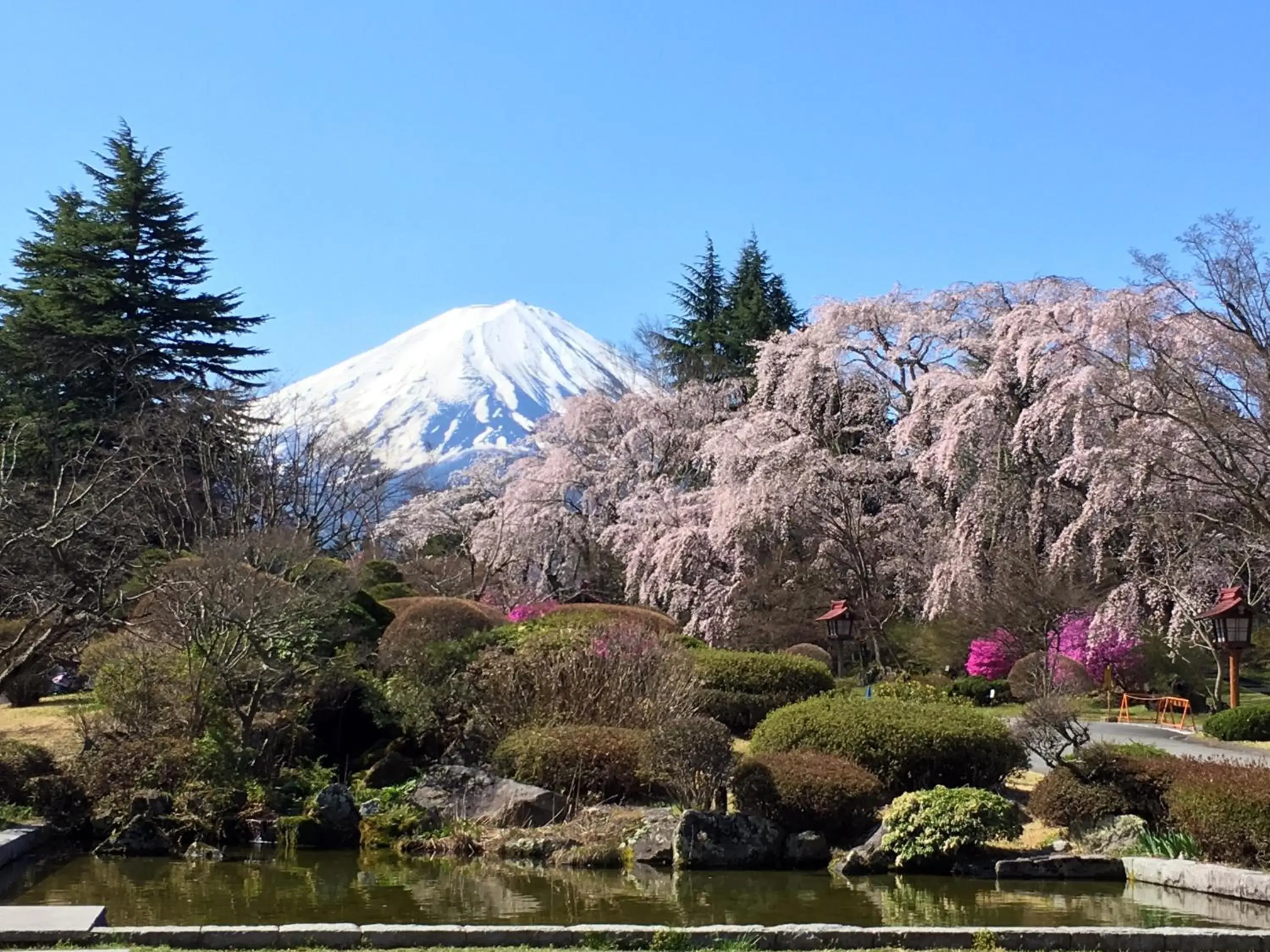 Spring in Fuji View Hotel Spring in Fuji View Hotel