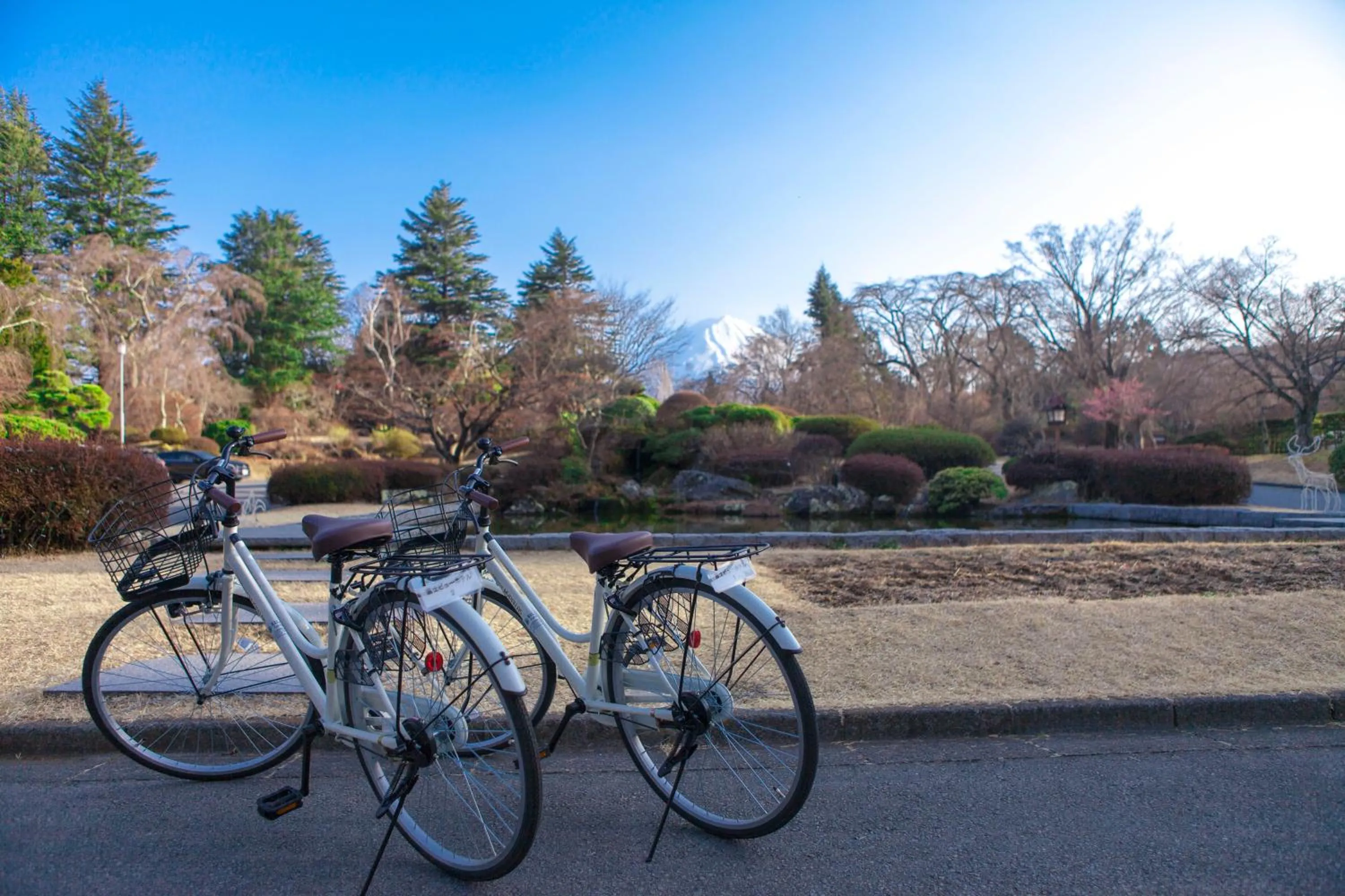 Cycling in Fuji View Hotel