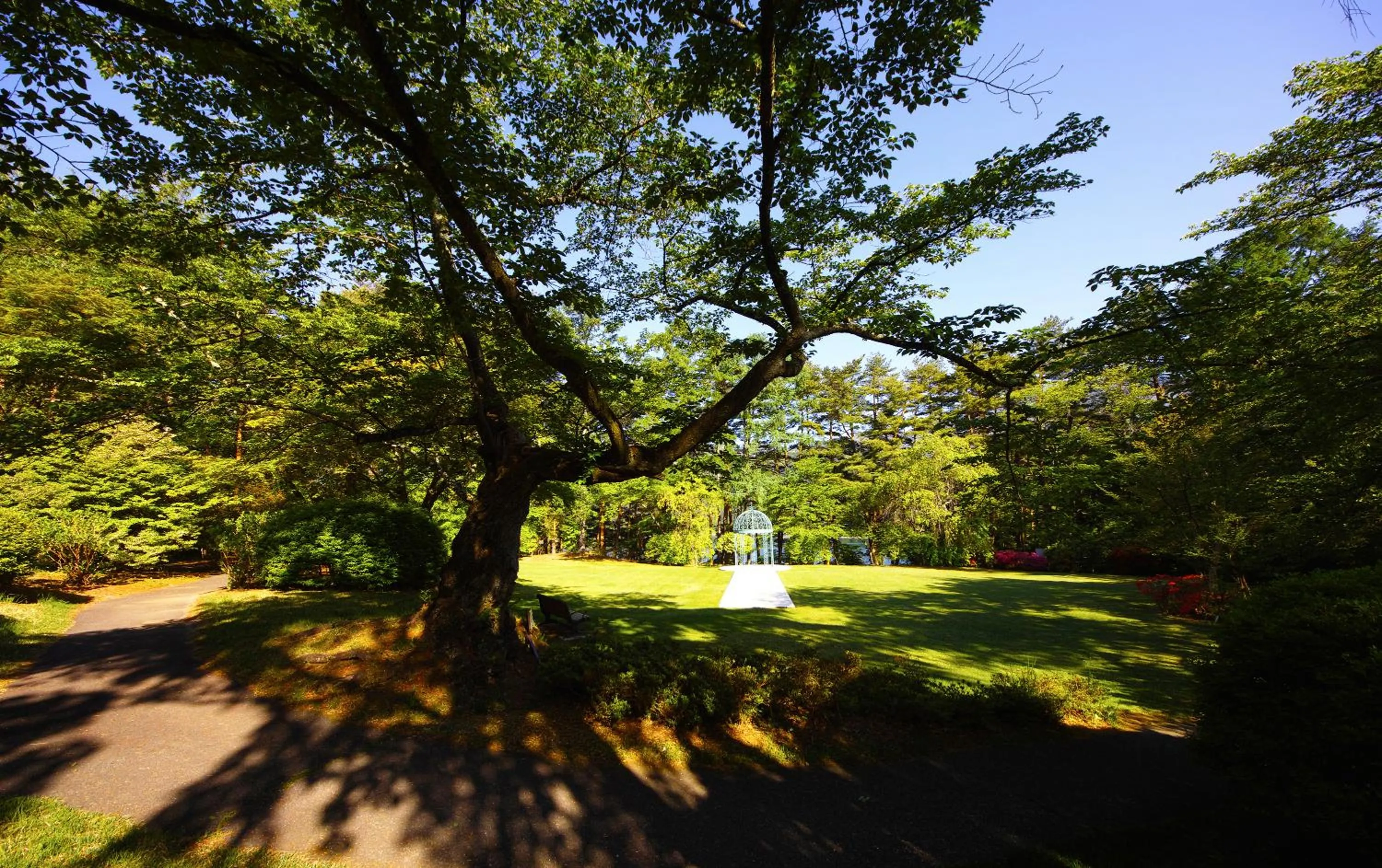 Garden in Fuji View Hotel