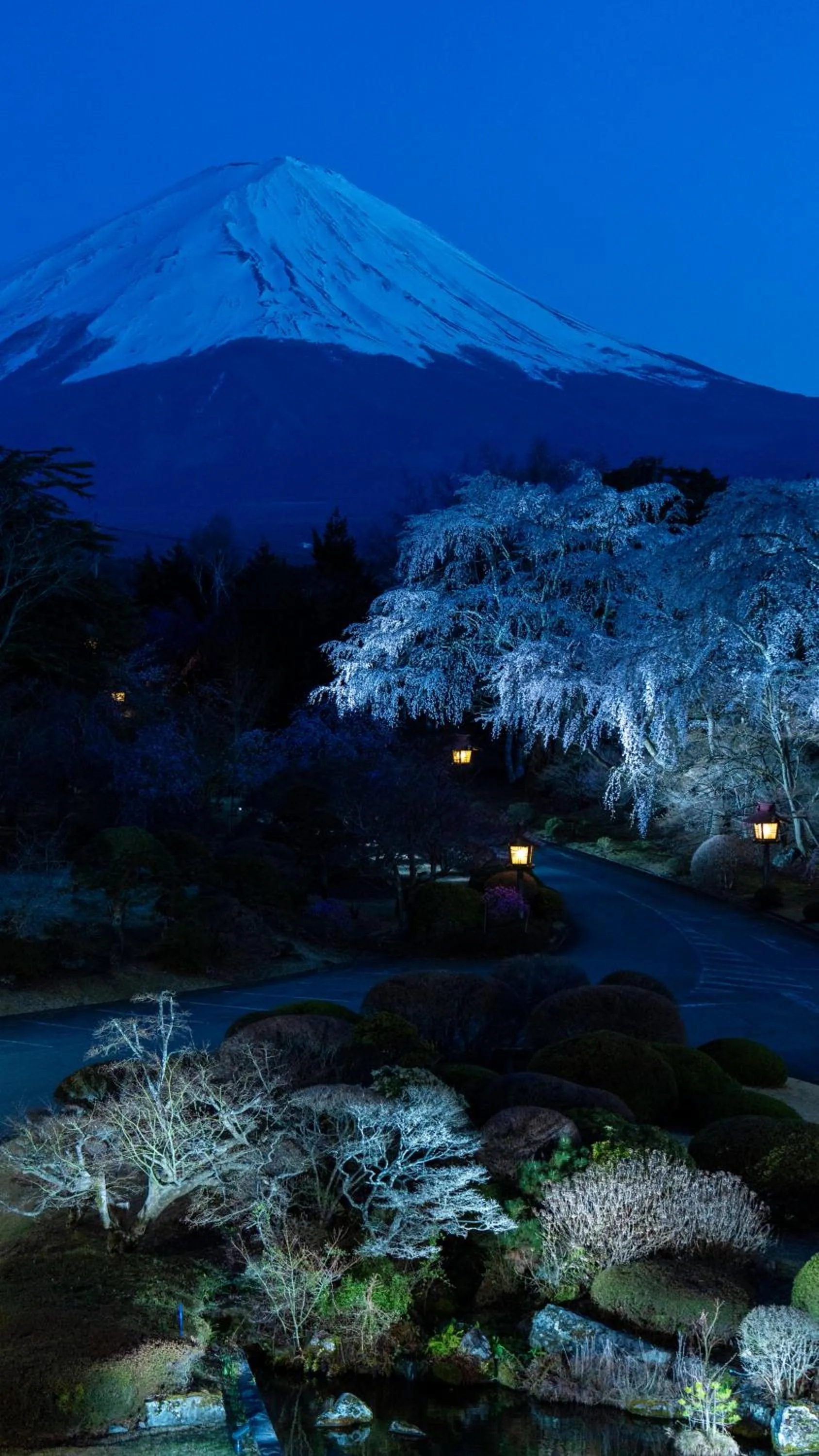 Night in Fuji View Hotel