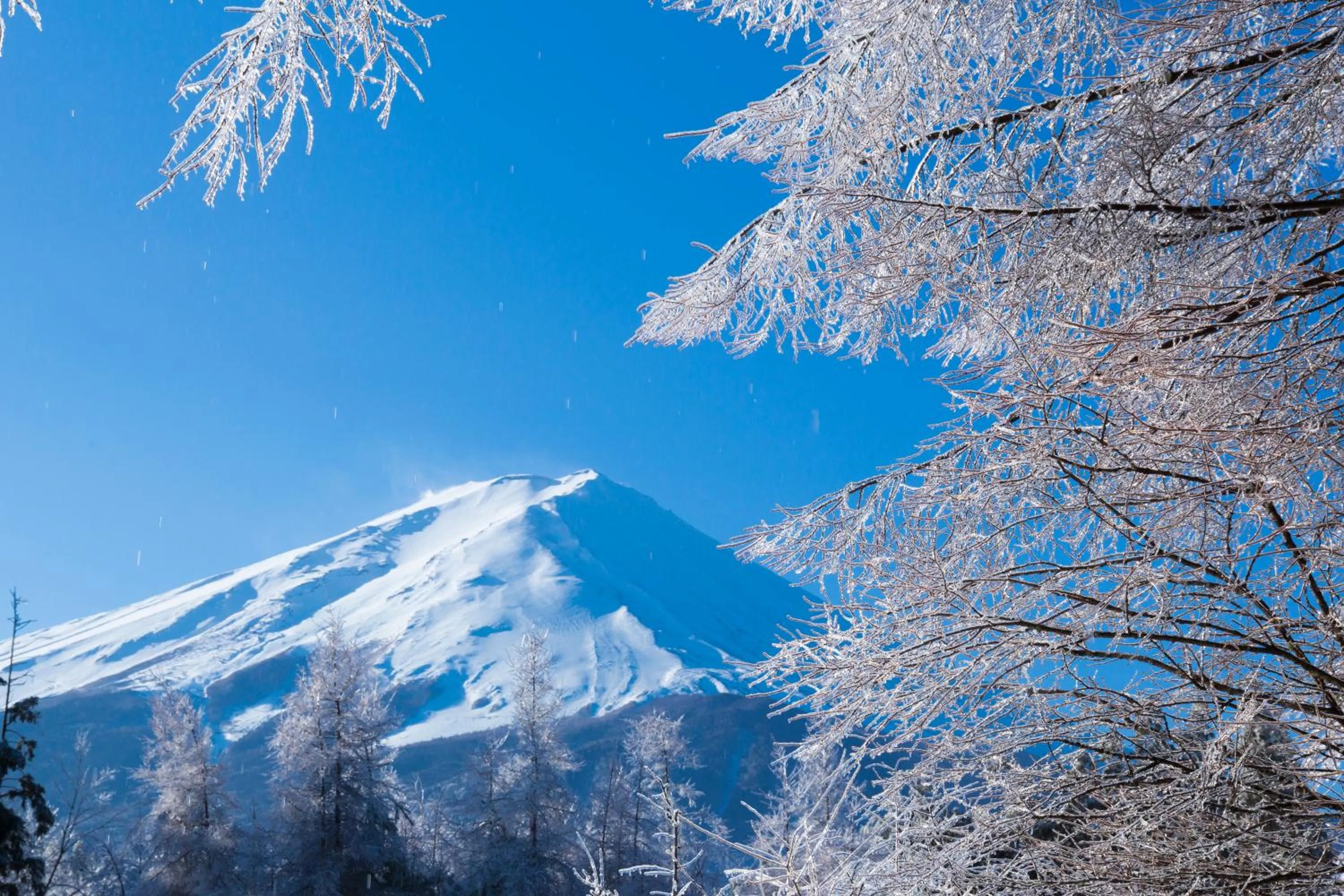 View (from property/room) in Fuji View Hotel