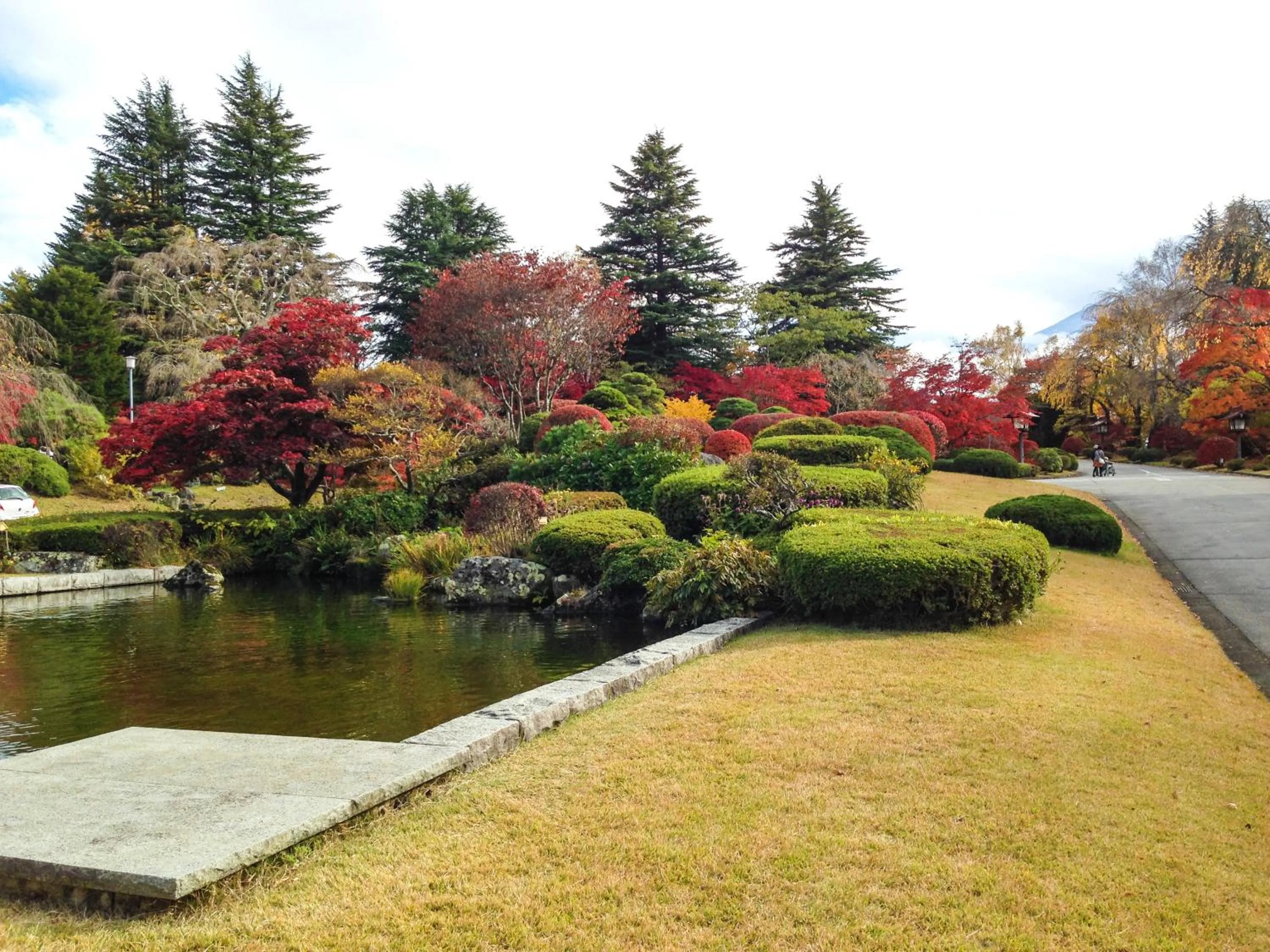 Garden in Fuji View Hotel