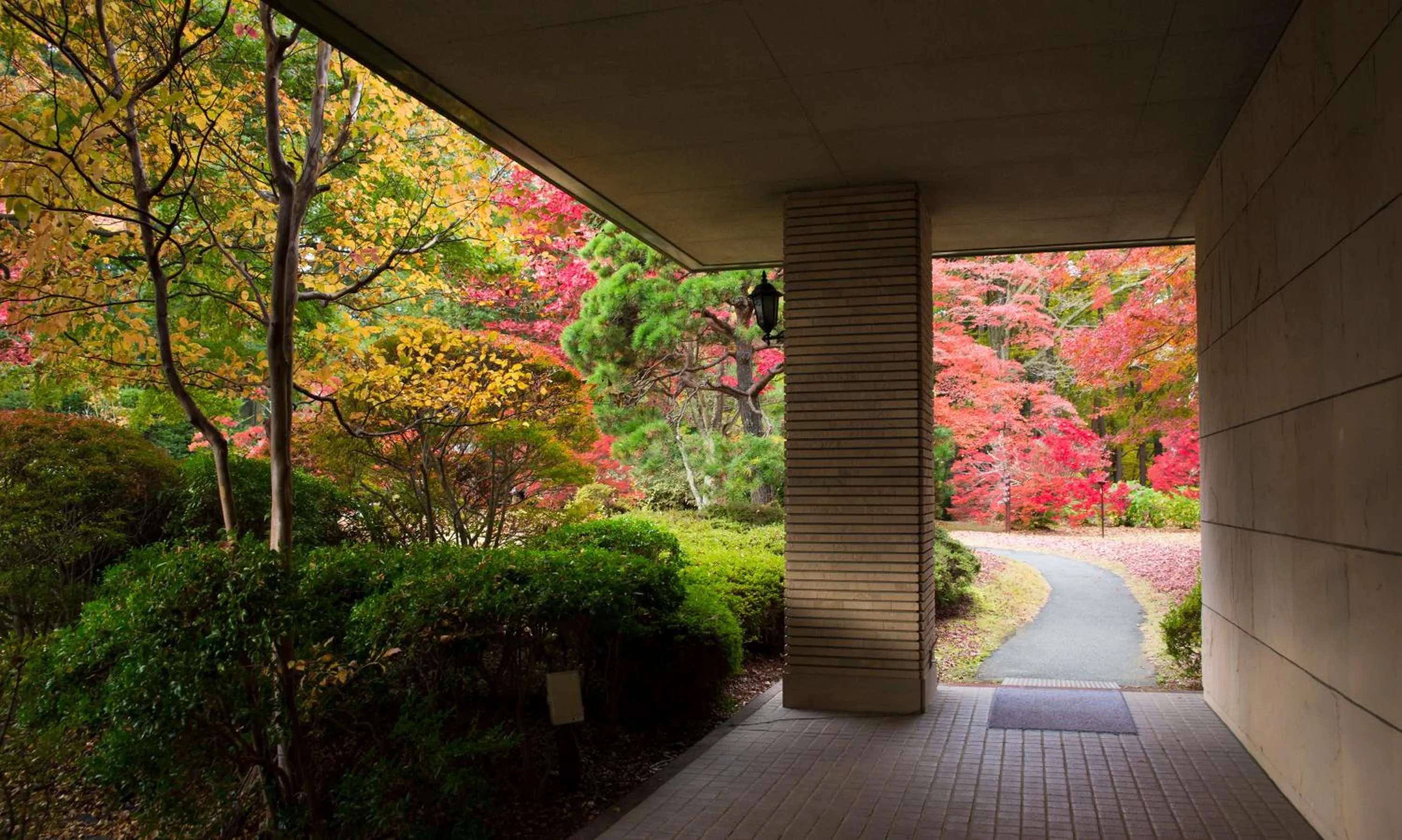 Garden in Fuji View Hotel