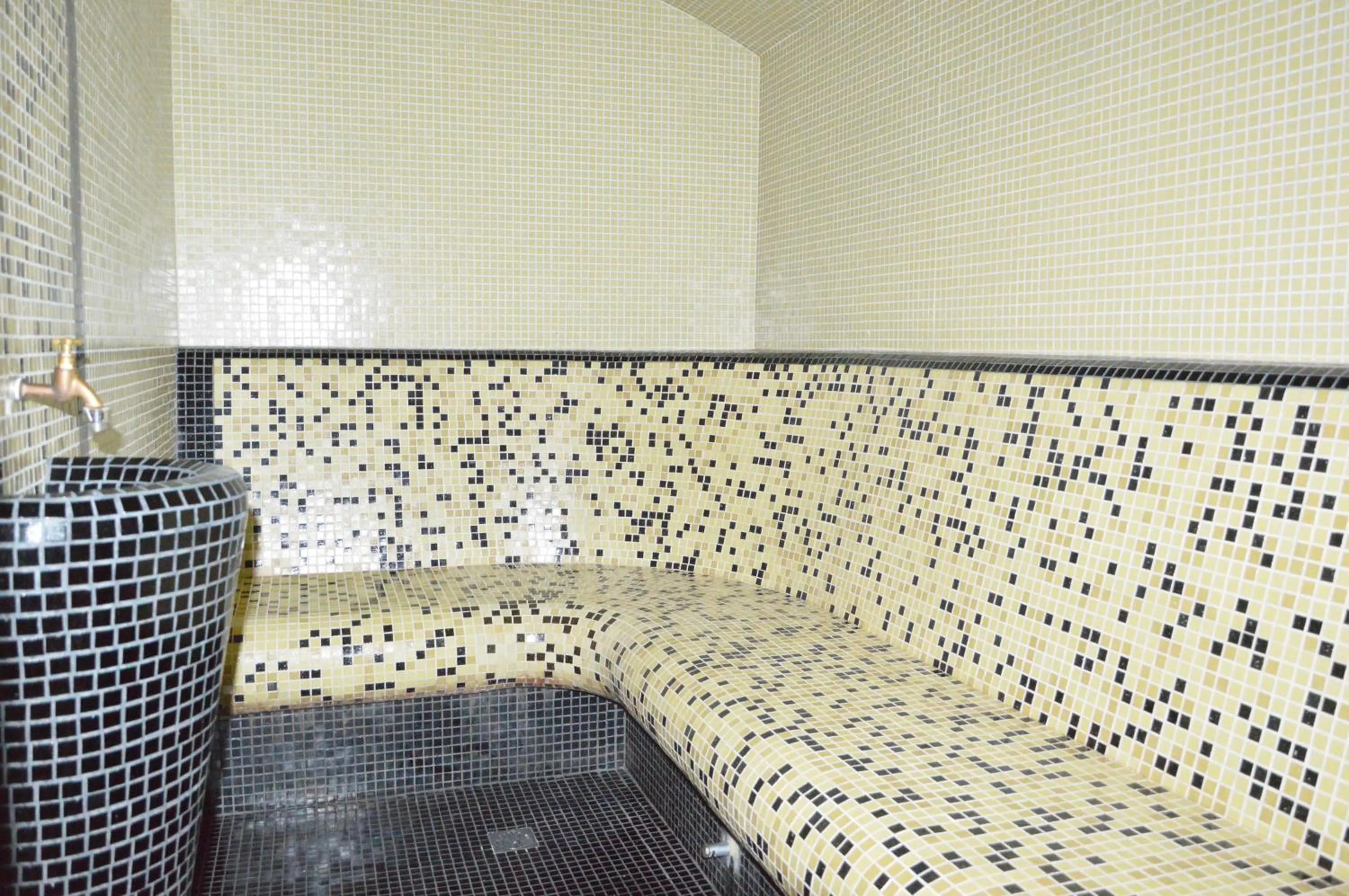 Steam room in Hotel Dumanov