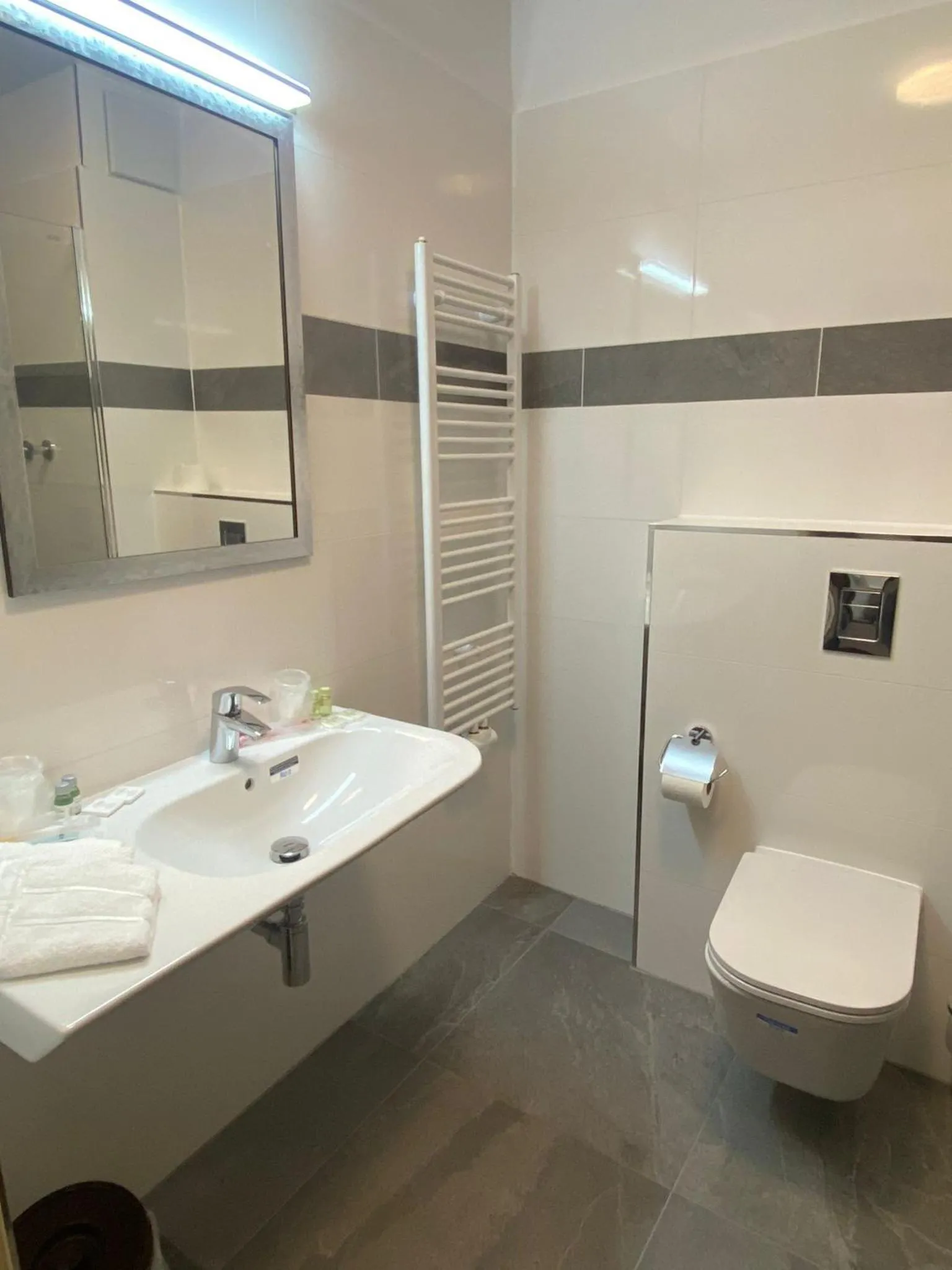 Bathroom in Hotel Regina