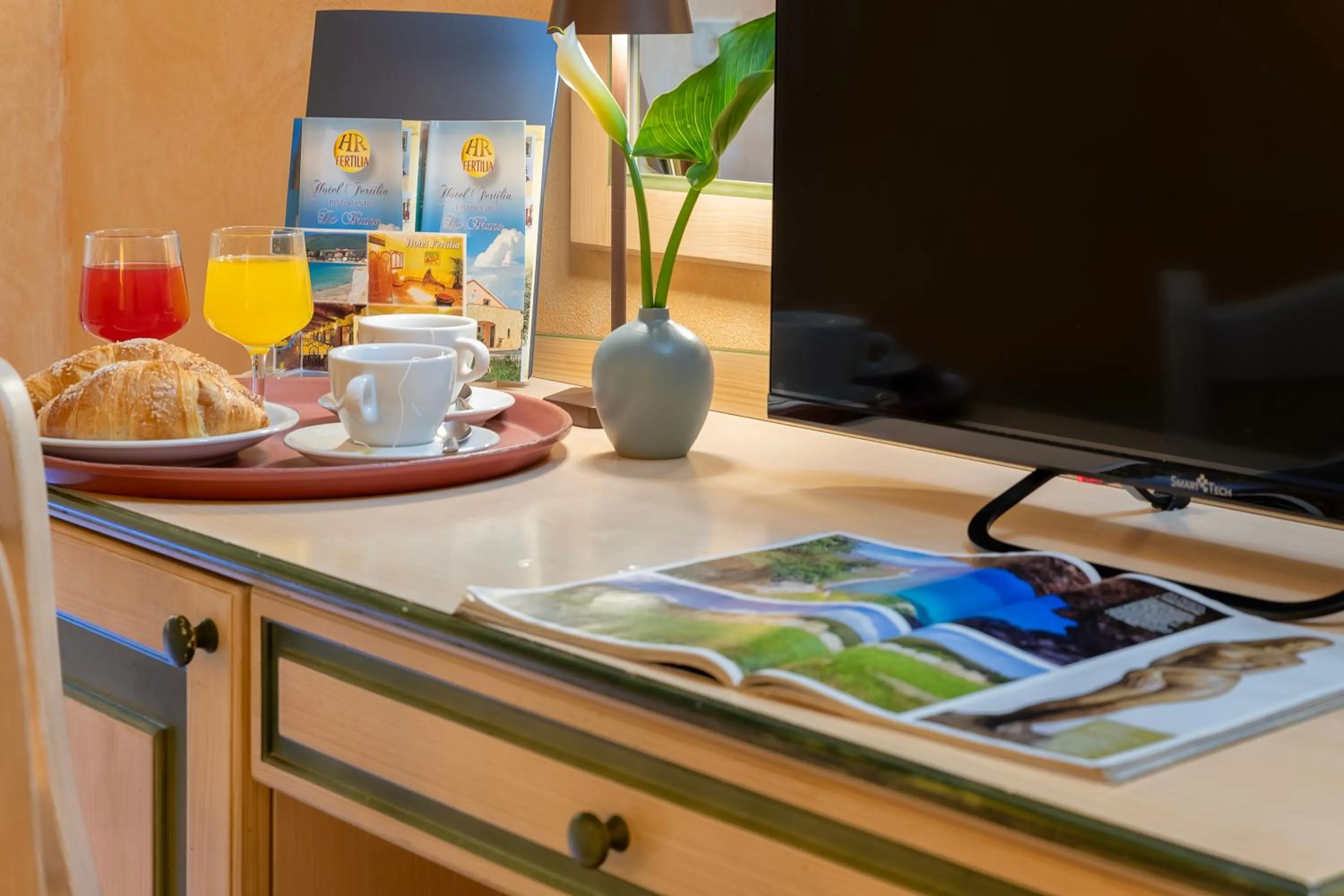 TV and multimedia in Hotel Fertilia