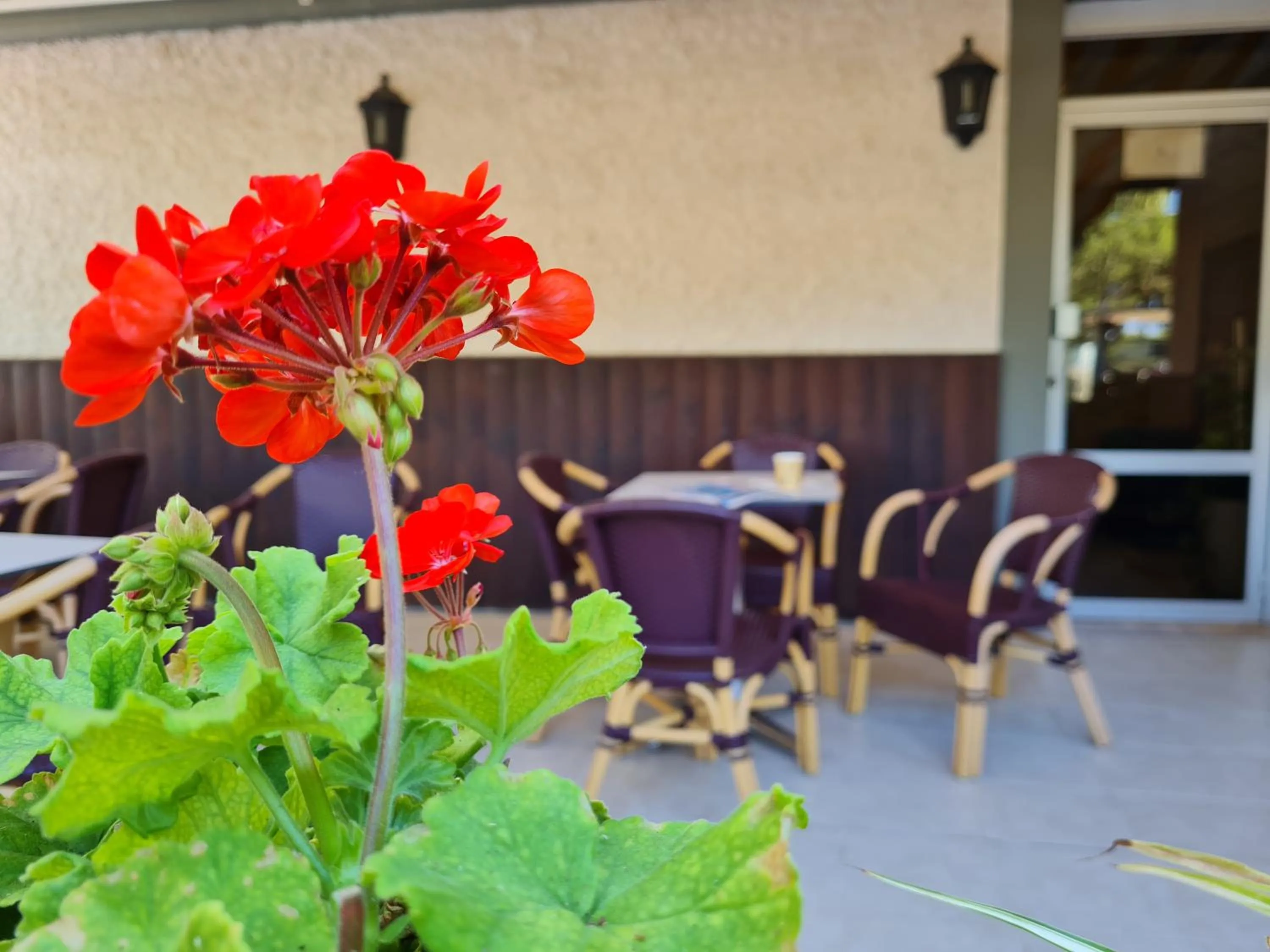 Balcony/Terrace in Beth-Shalom