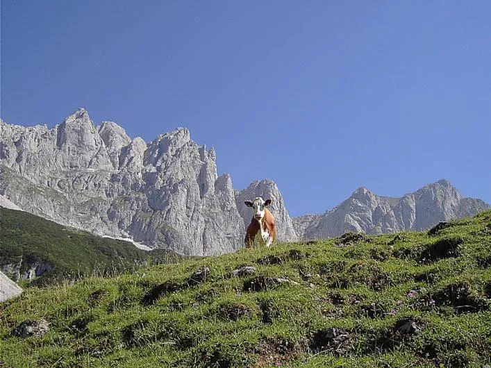 Natural landscape in Appartement Felsenheim