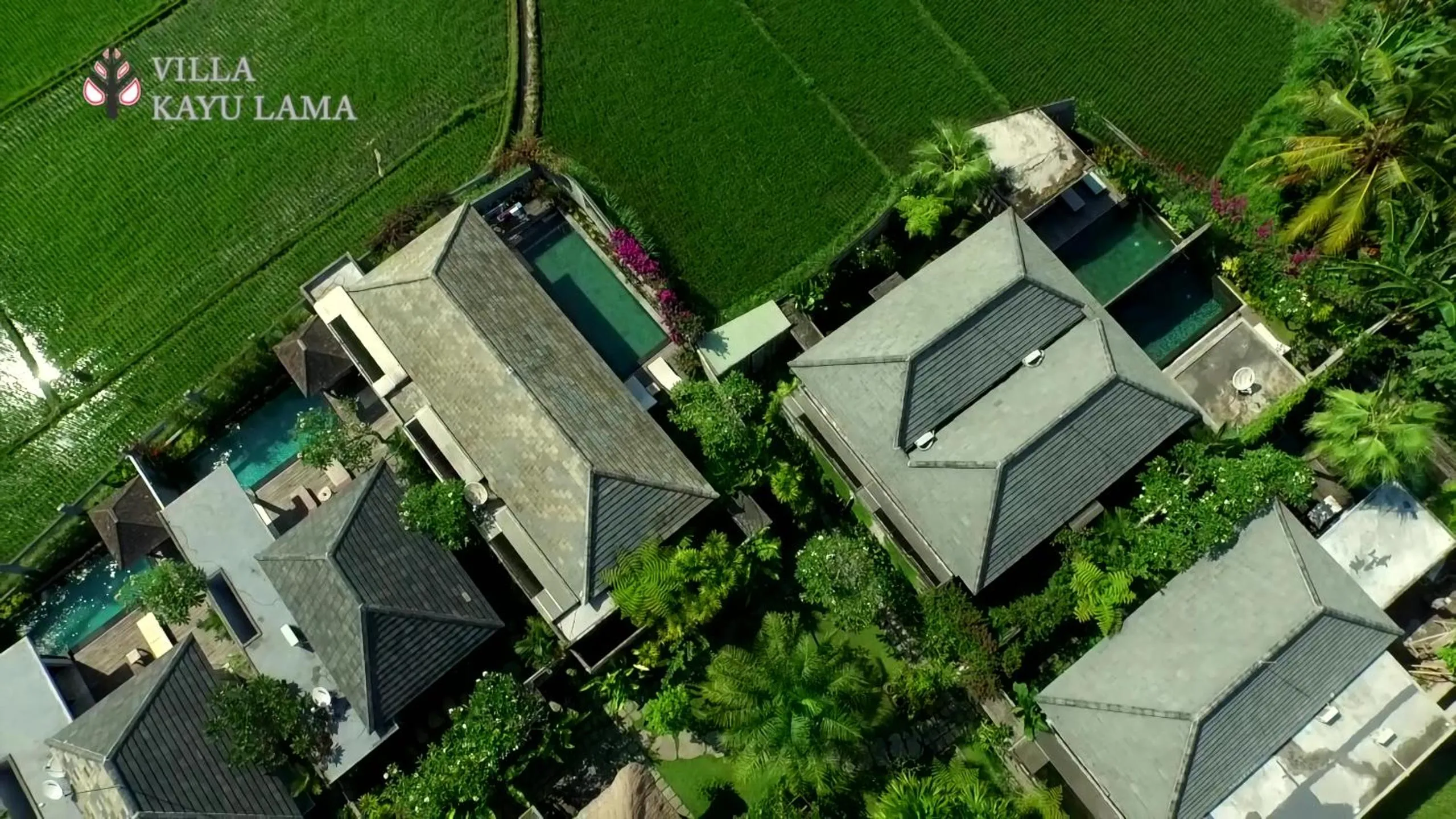 Natural landscape in Villa Kayu Lama