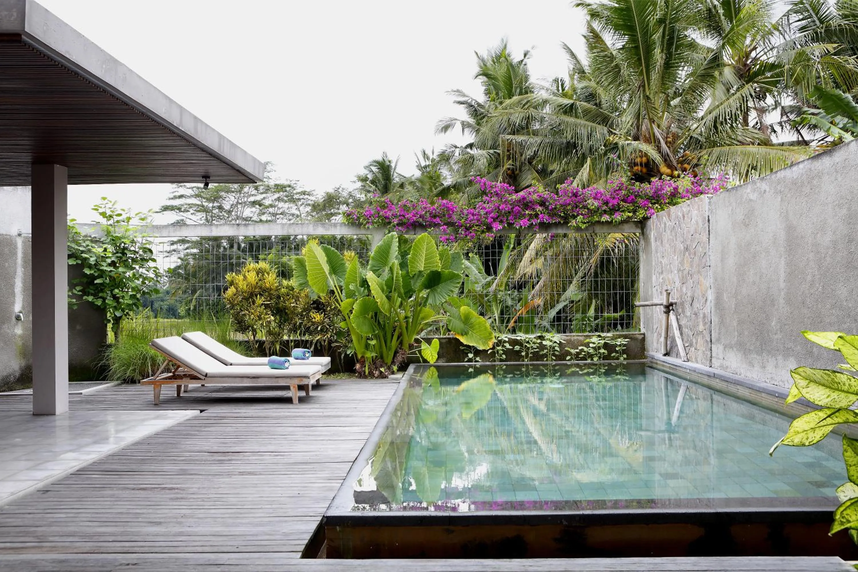 View (from property/room) in Villa Kayu Lama