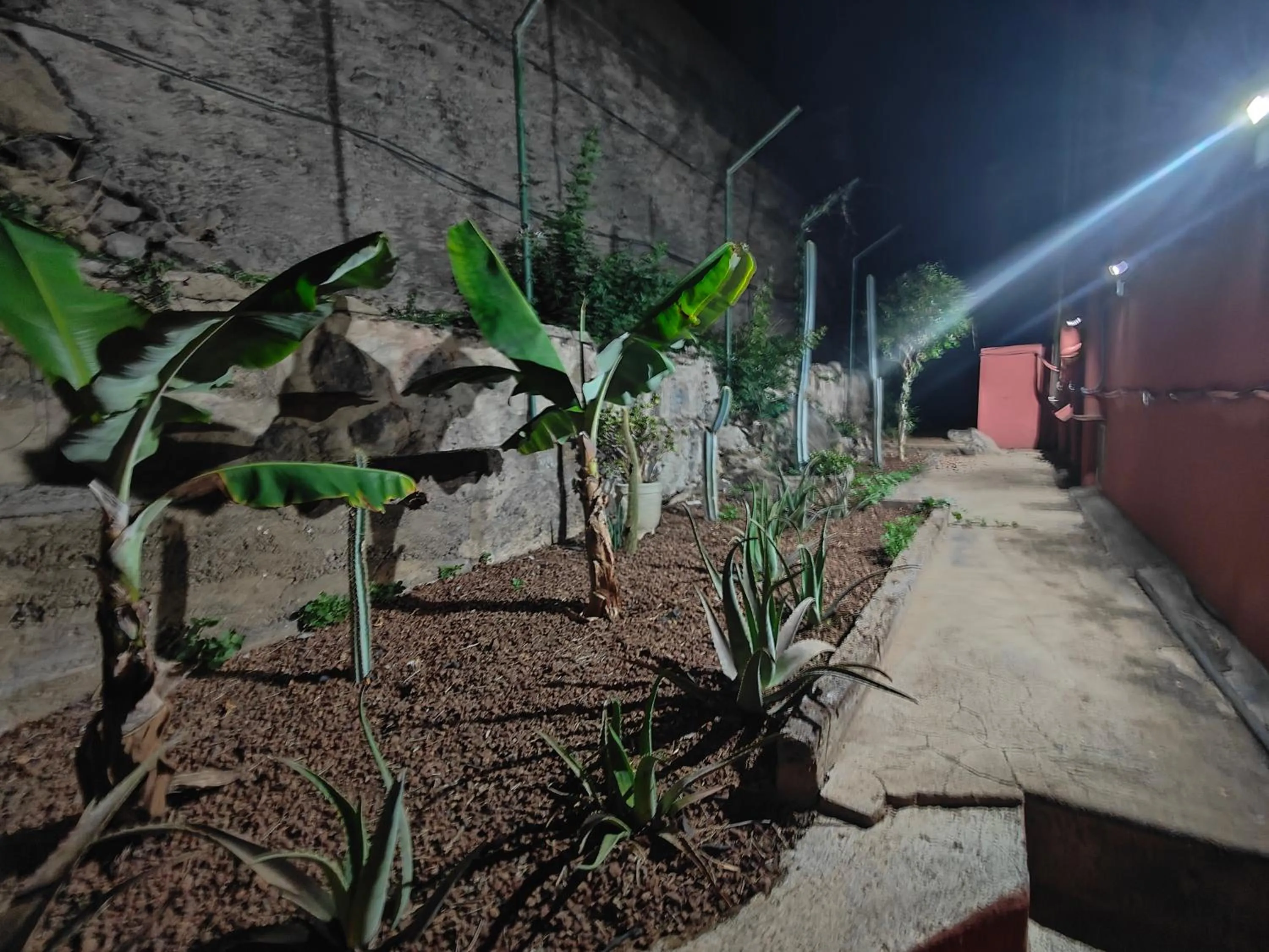 Garden in Hotel Don Cándido