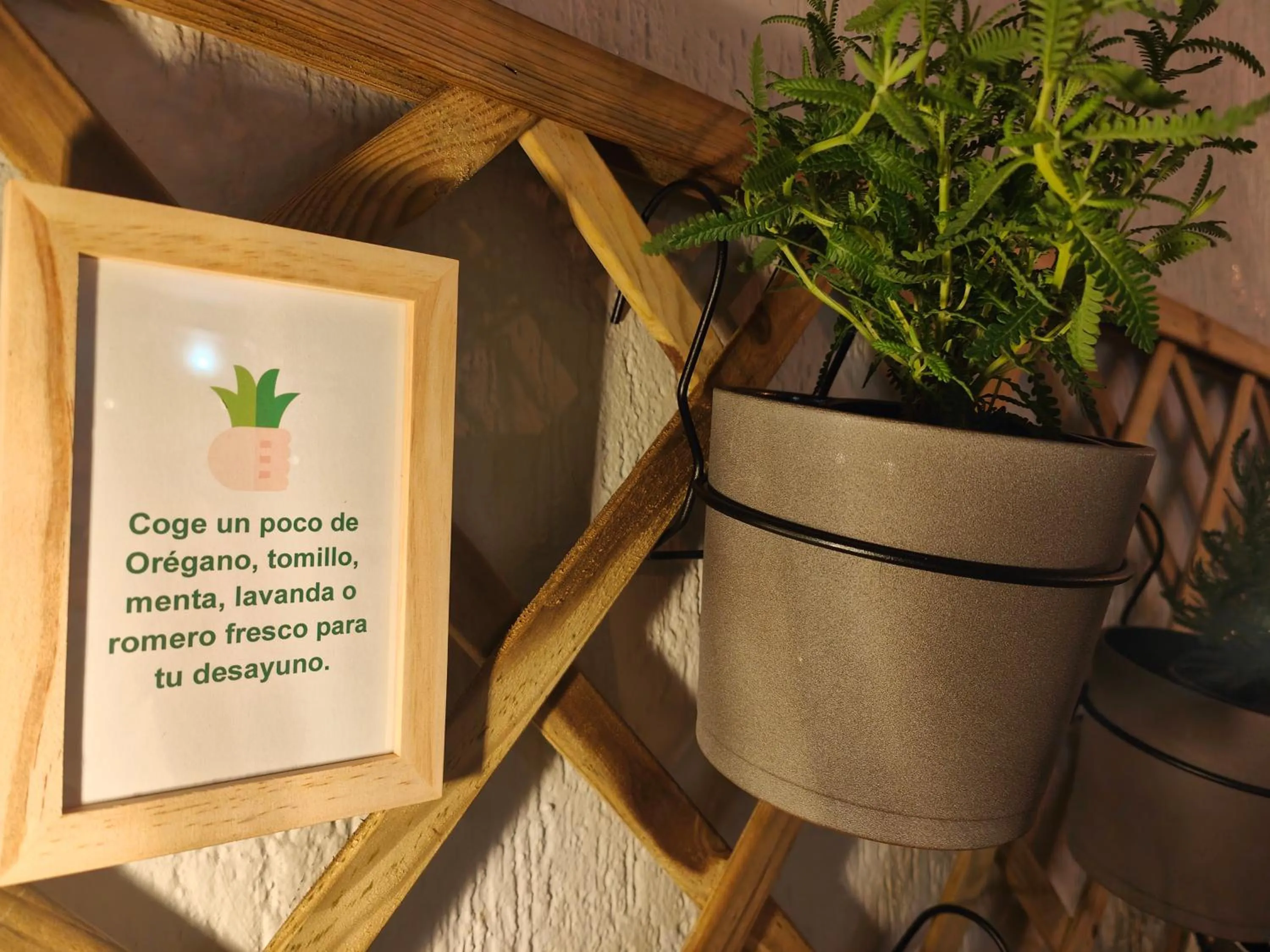 Breakfast in Hotel Don Cándido