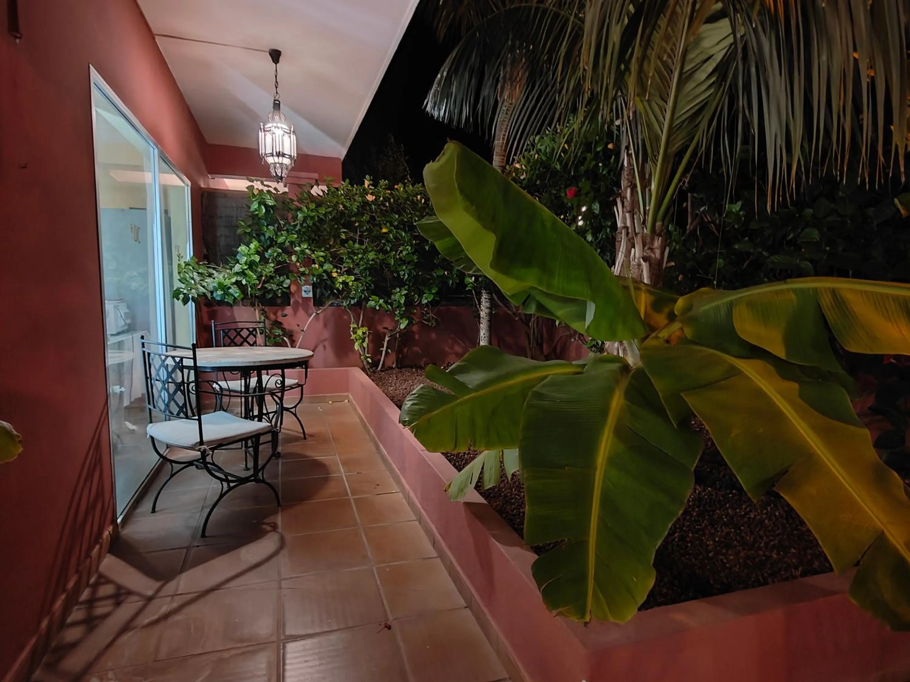 Garden in Hotel Don Cándido