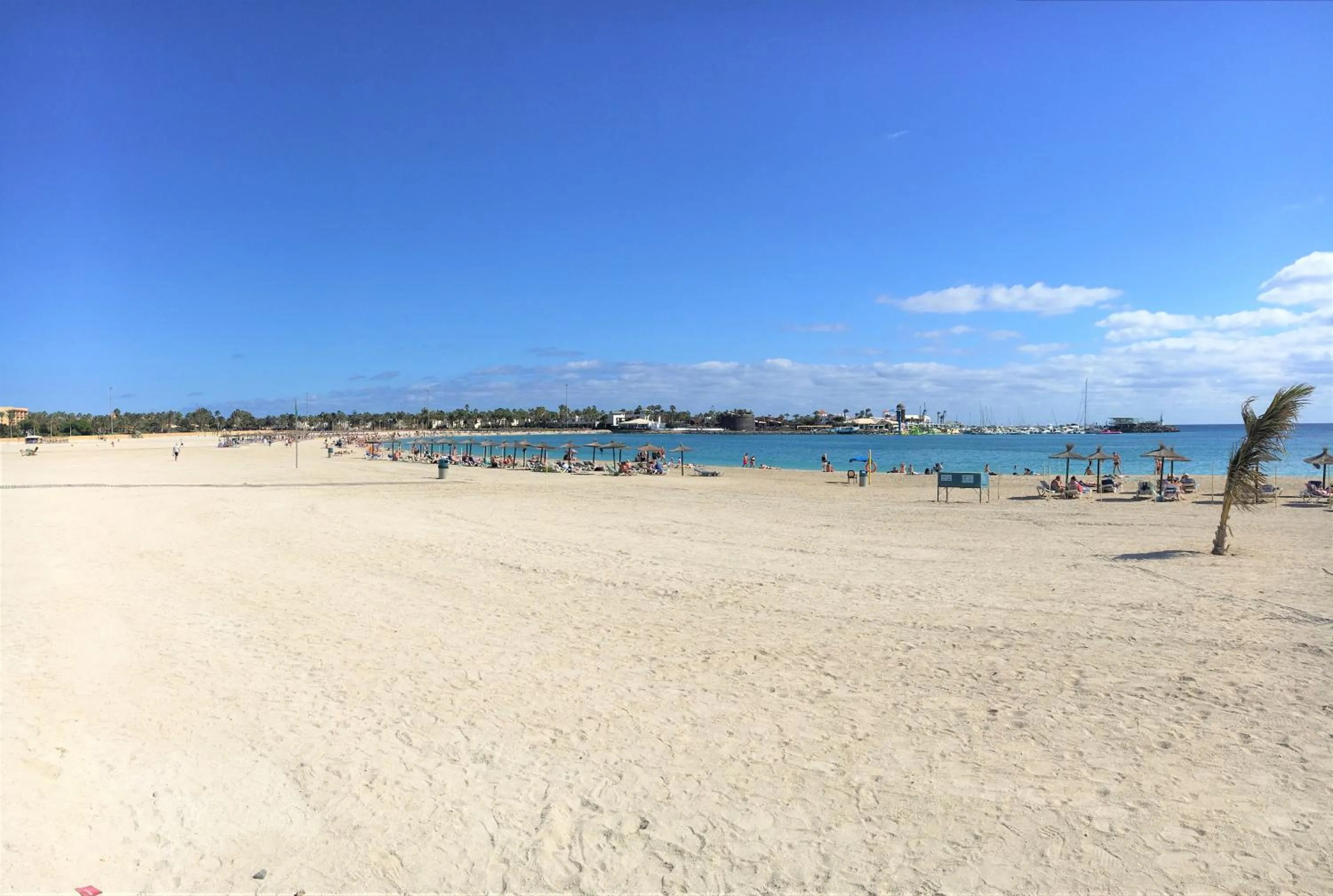 Beach in Hotel Ereza Mar - Adults Only