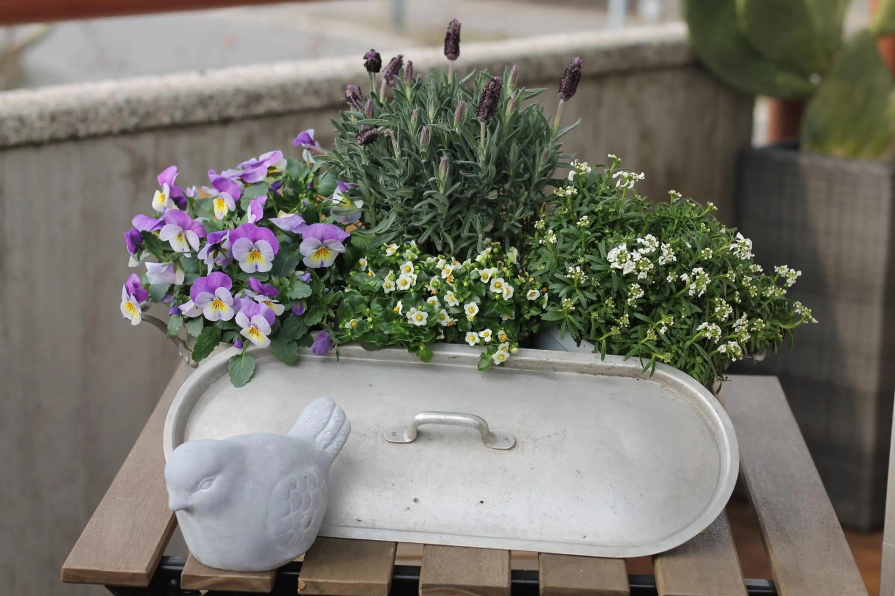 Balcony/Terrace in Un sogno B&B