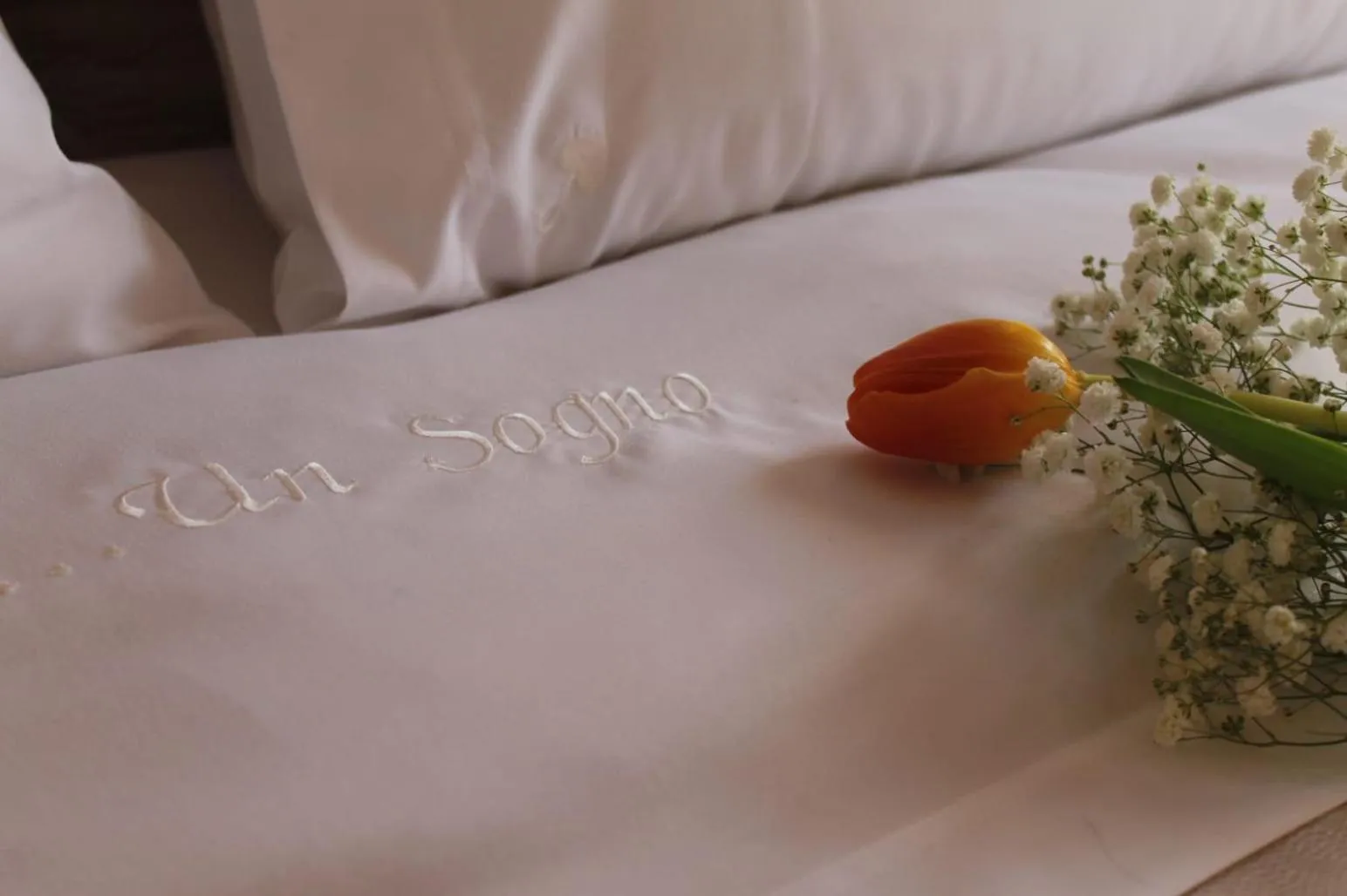 Property logo or sign, Bed in Un sogno B&B