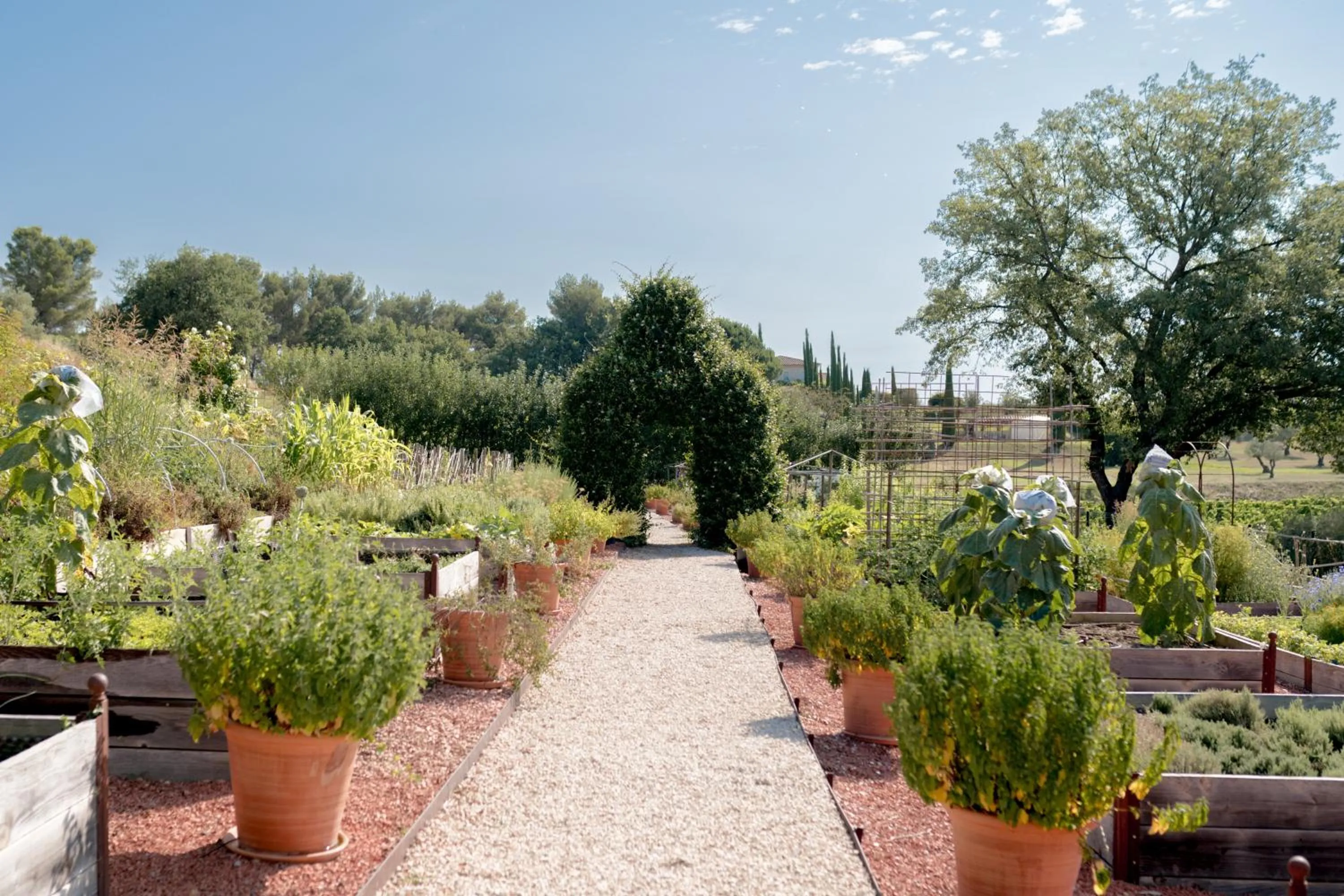 Garden in Coquillade Provence - Relais & Châteaux