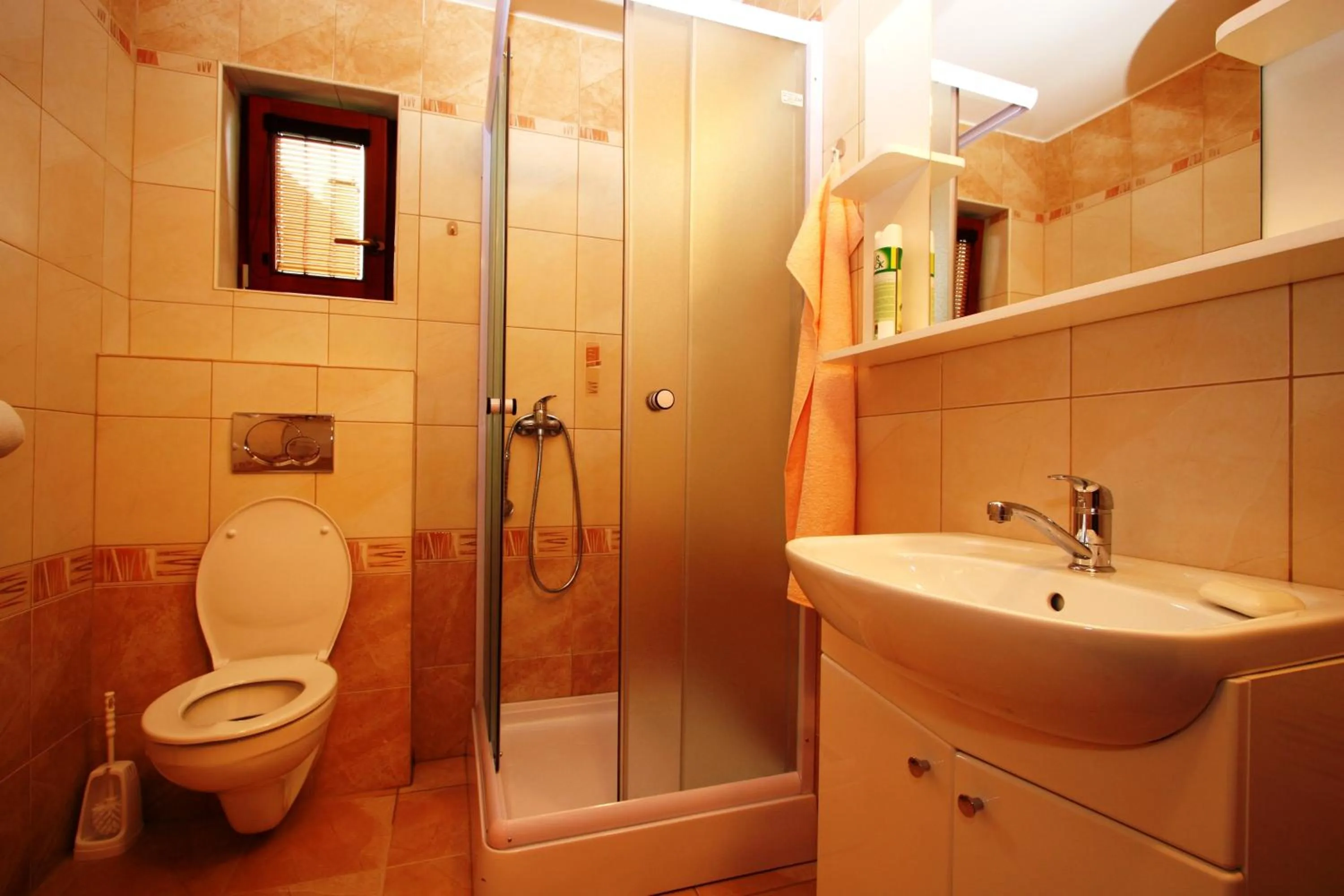 Shower in Ada Apartments