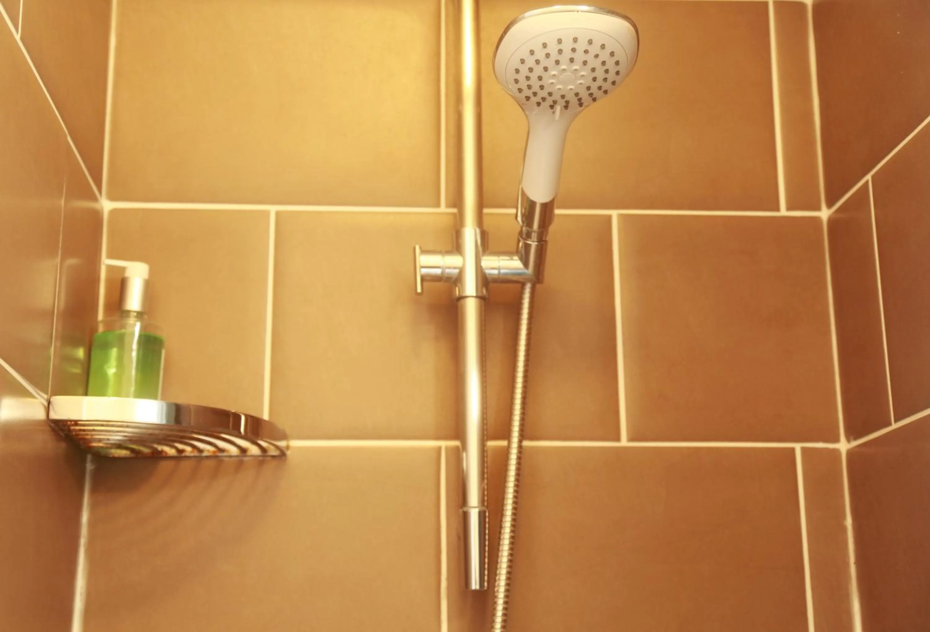 Shower in Motel Schmotel