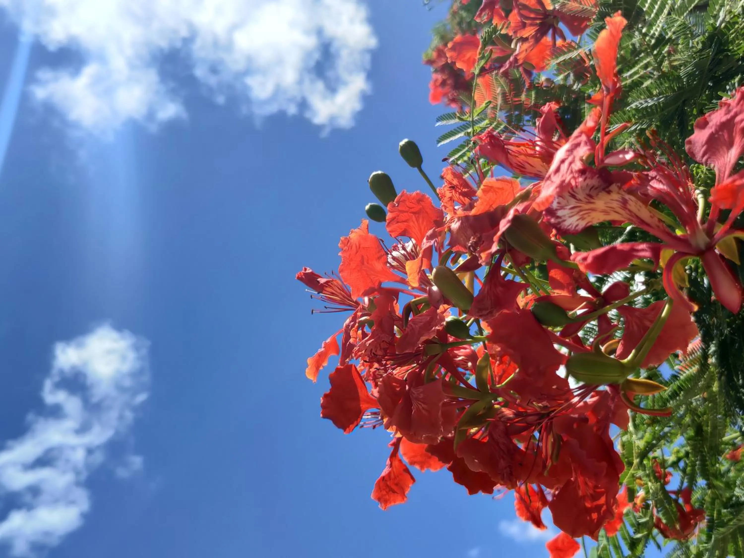 Off site in Hotel Torifito Naha Asahibashi